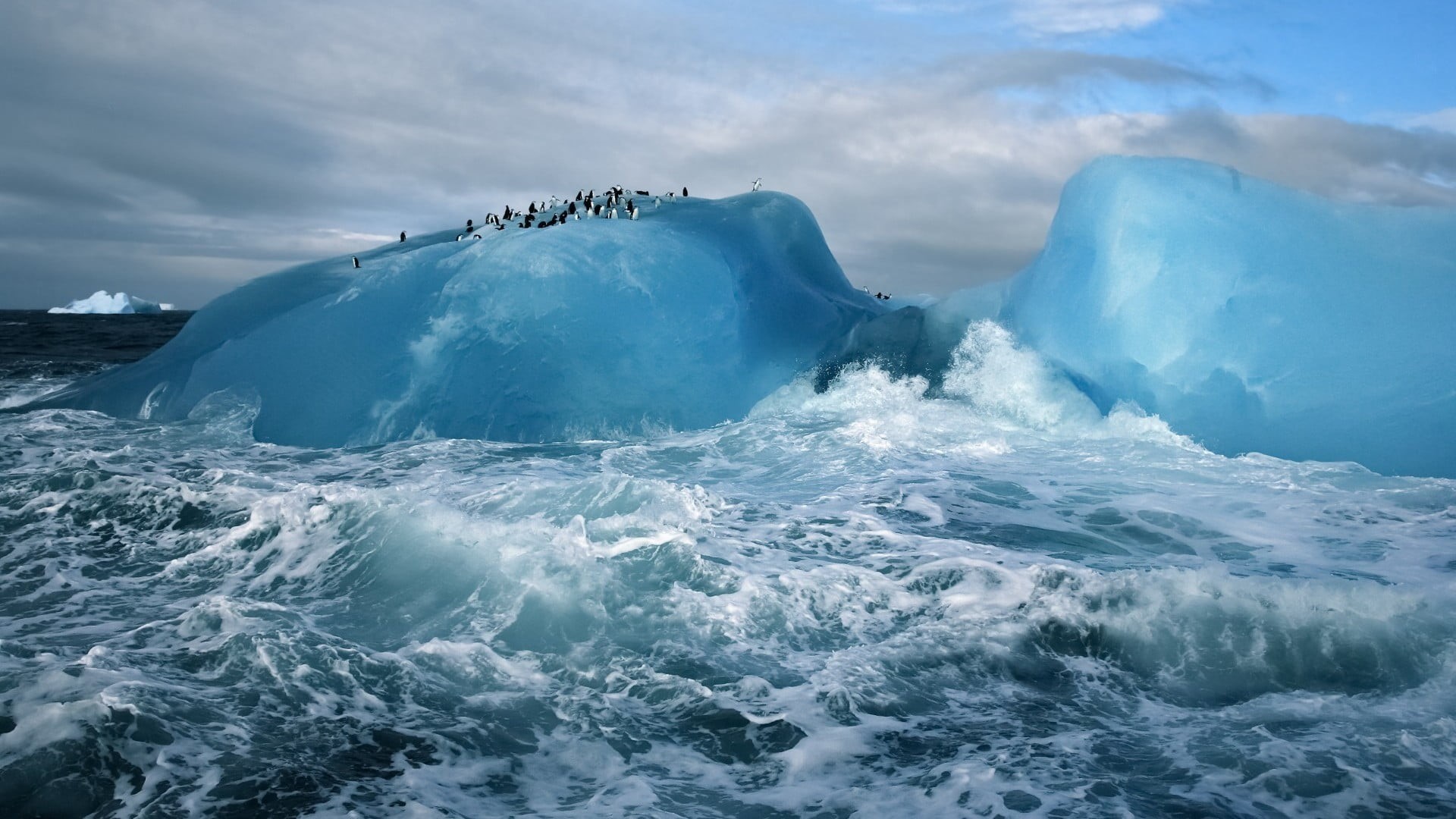 penguins, scenics - nature, water, beauty in nature, iceberg, animals, sea, frozen, ice, snow, landscape, clouds, glacier, cloud - sky, nature, no people, HD Wallpaper