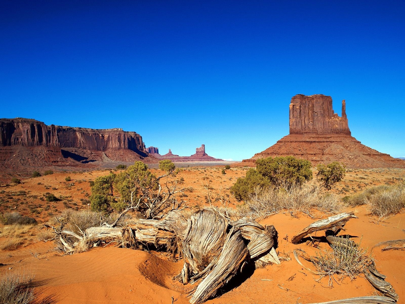 clear sky, desert, land, rock Formation, rock - Object, nature, valley, mesa - Arizona, navajo, green, wild West, scenics - nature, majestic, bushes, mesa, HD Wallpaper