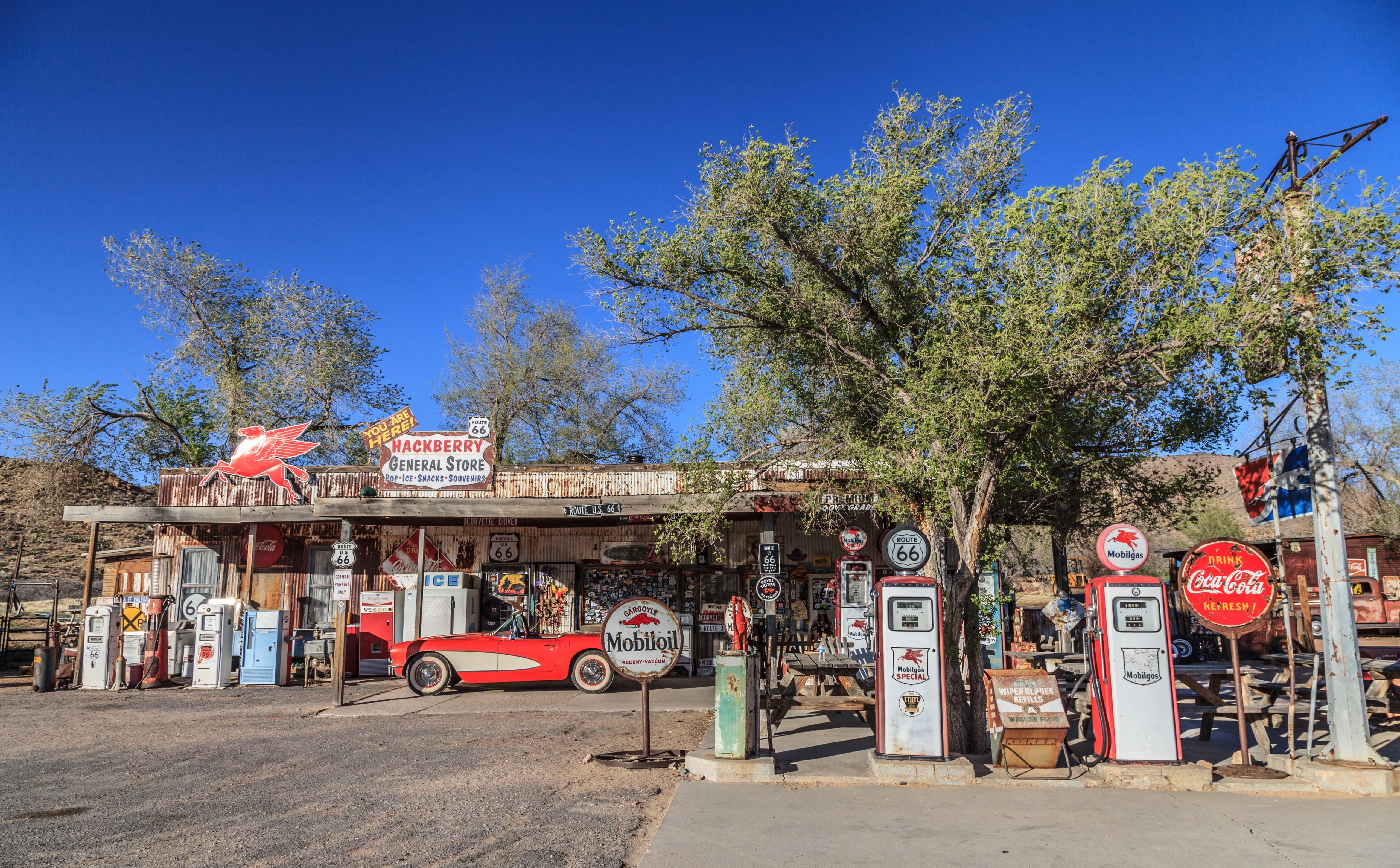 plant, gasstation, city, Classic, architecture, food and drink, street, Arizona, tree, gas, unitedstates, building exterior, transportation, mode of transportation, HD Wallpaper