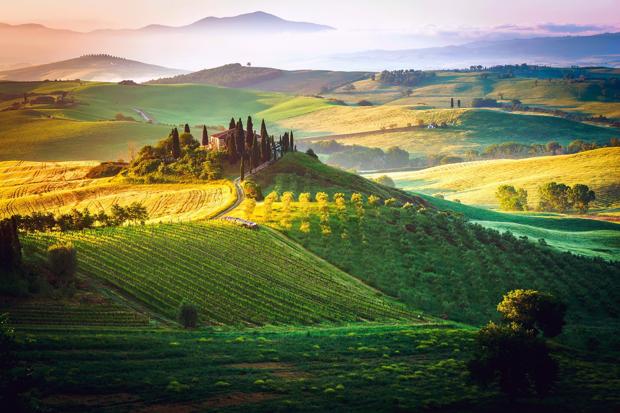 day, farm, road, square, dawn, landscaped, sunrise - Dawn, lighting Technique, siena Province, summer, sunset, The Tuscan Dream, color Image, idyllic, non-Urban Scene, HD Wallpaper