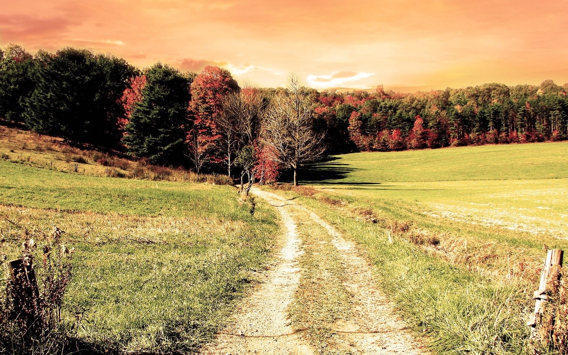 wood, landscape, travel, sunrise - Dawn, pasture, mountain, plant, sunlight, summer, hill, direction, 1080P, nature, landscaped, square, green Color, lighting Technique, HD Wallpaper