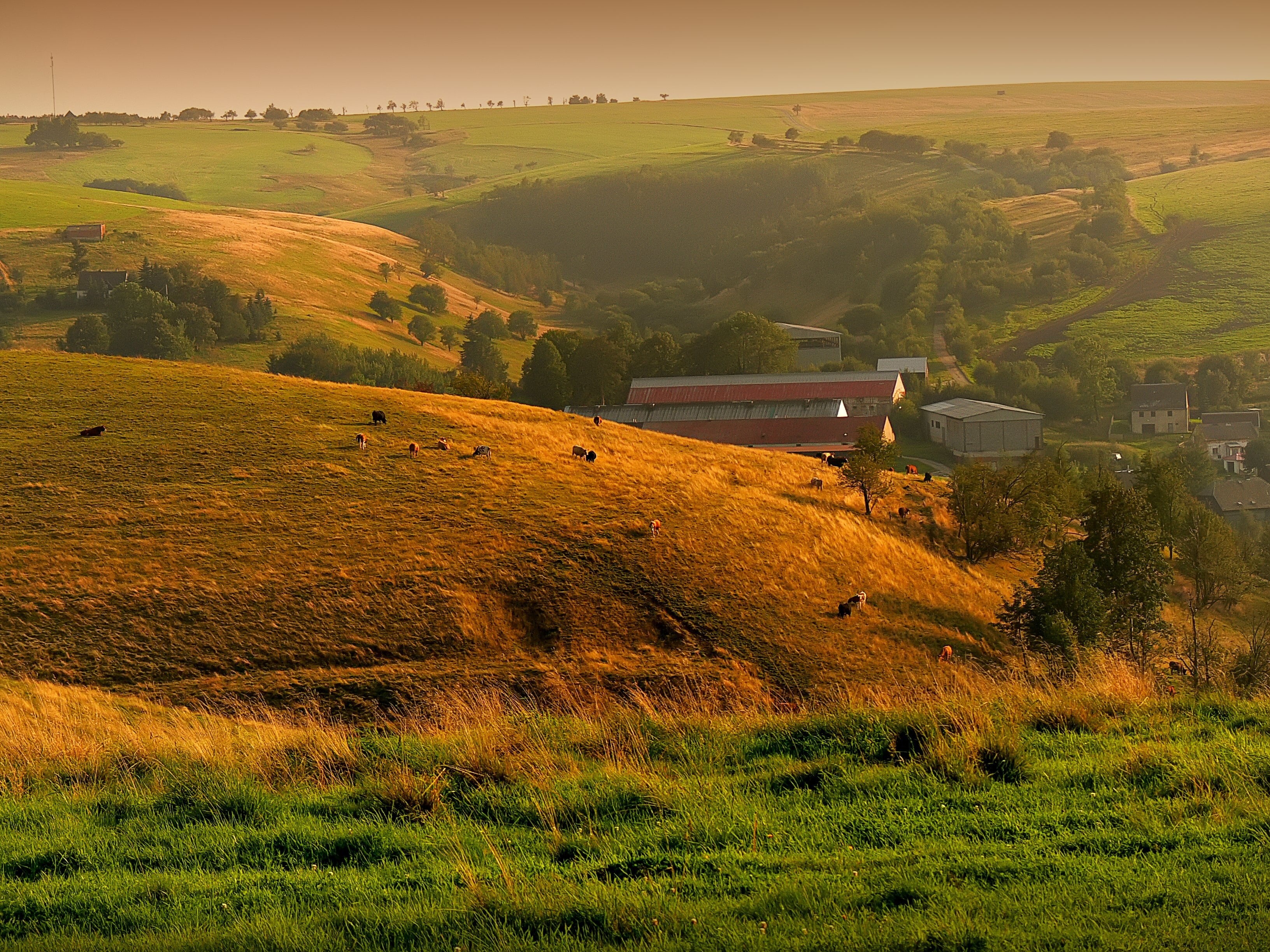 farm, tranquility, sunset, autumn, beauty in nature, green color, grass, agriculture, europe, environment, italy, tuscany, hill, moldava, land, summer, HD Wallpaper
