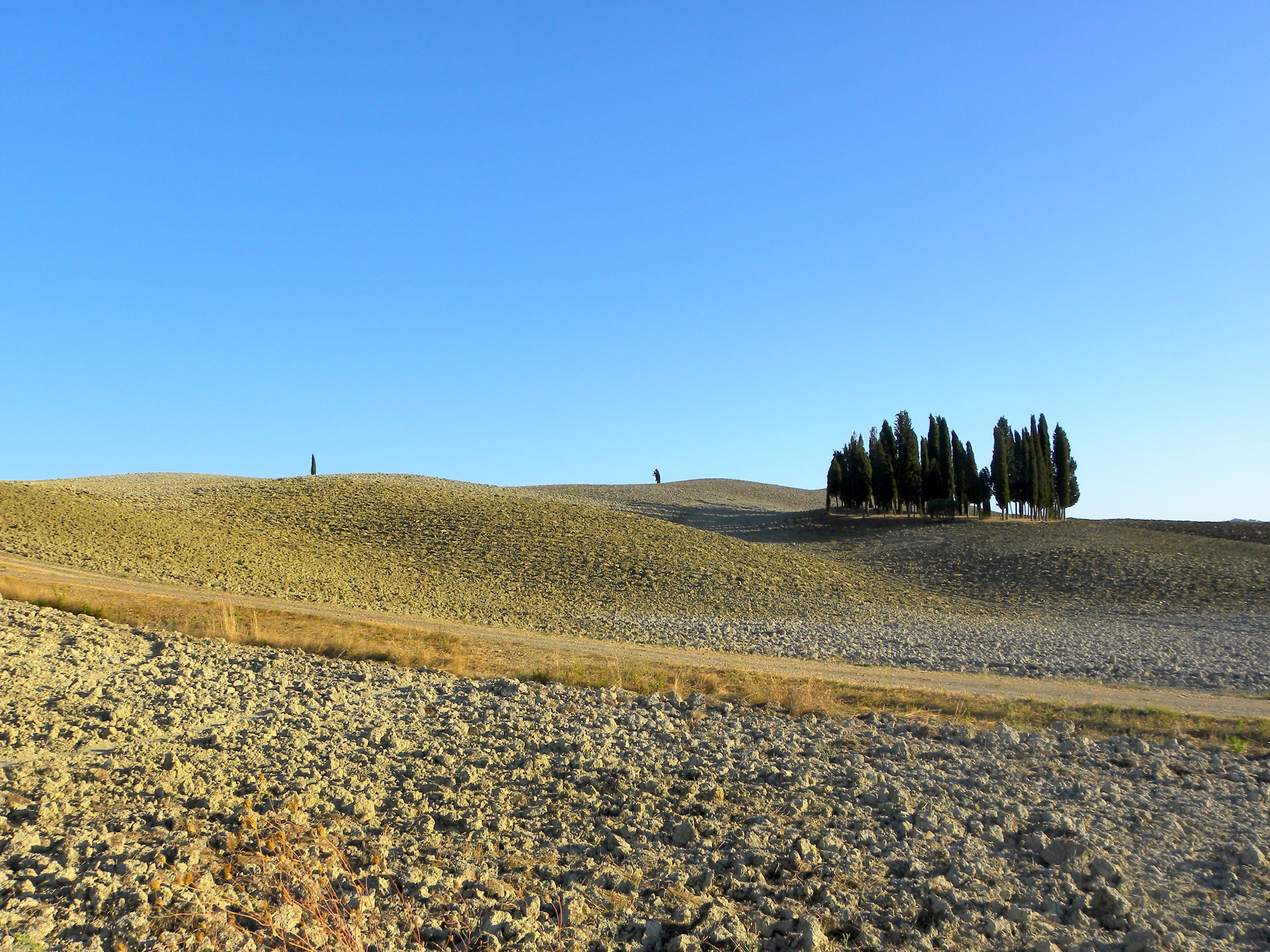 historical Palestine, plant, cypress Tree, idyllic, sky, outdoors, road, sunlight, mediterranean Countries, tuscany, plowed Field, 4K, field, horizon, HD Wallpaper