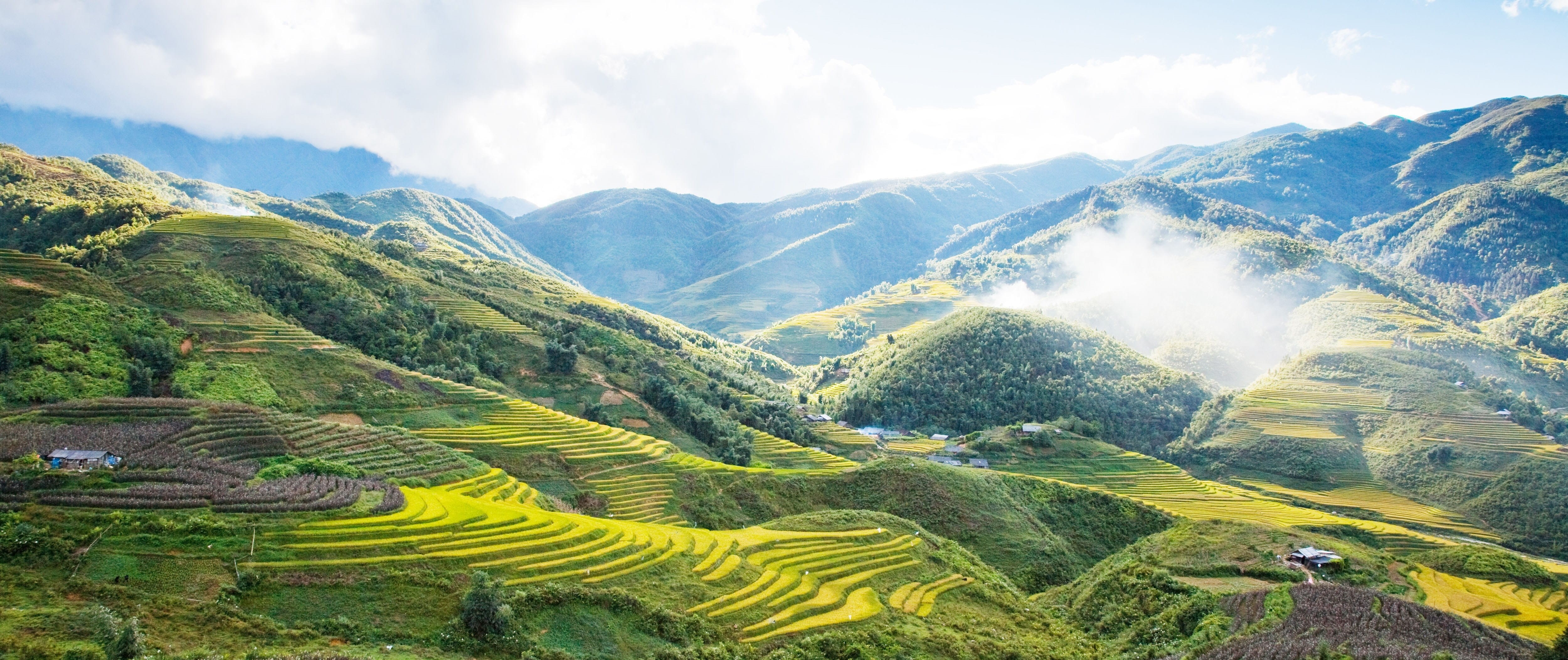 plant, environment, field, beauty in nature, asian teens, landscape, cloud - sky, crop, mountain range, outdoors, vietnam, plantation, scenics - nature, HD Wallpaper