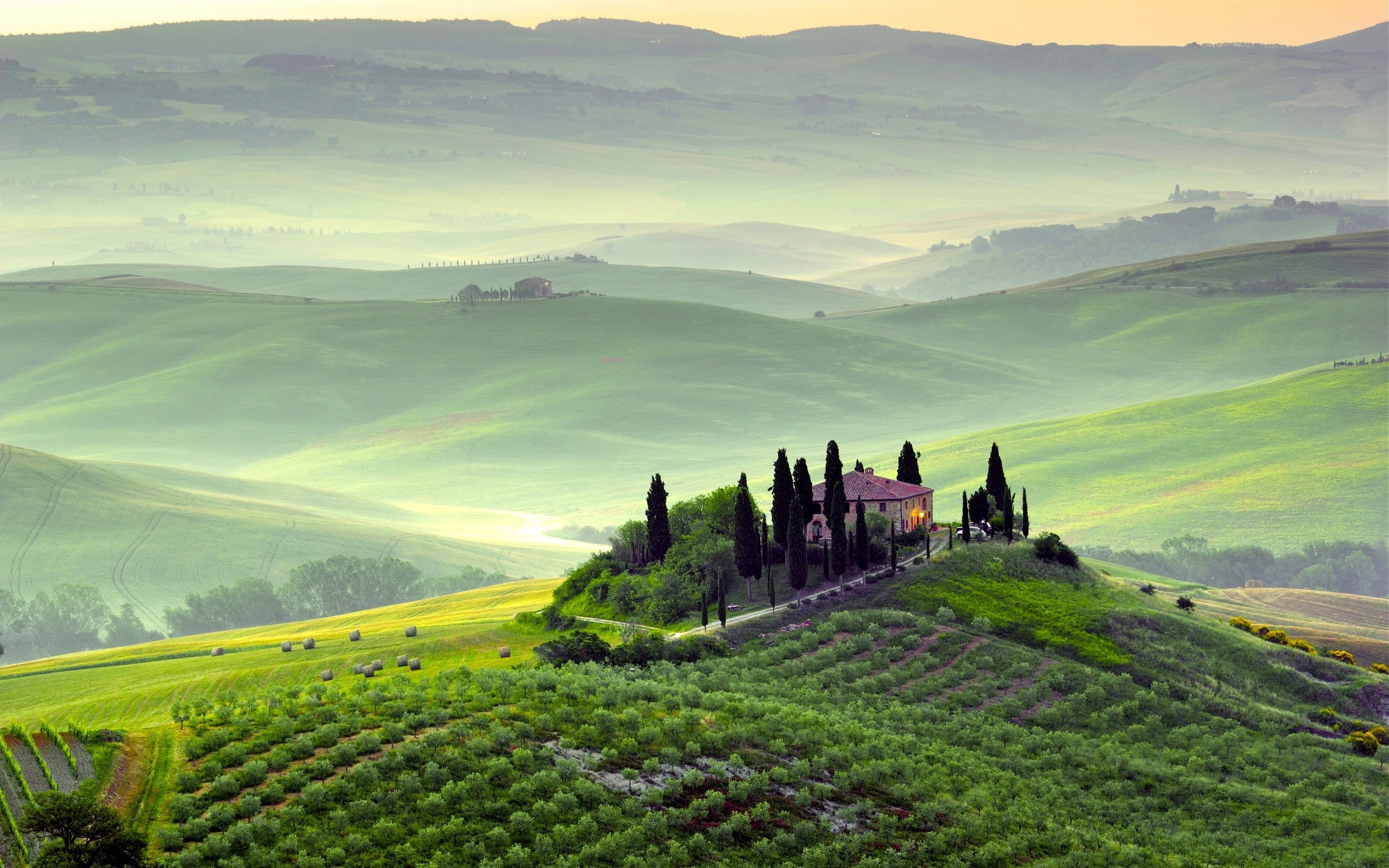 Pienza, Fields, Italy, Tuscany, Fog, Morning, Green, 2K, Scenery, Spring, Trees, HD Wallpaper