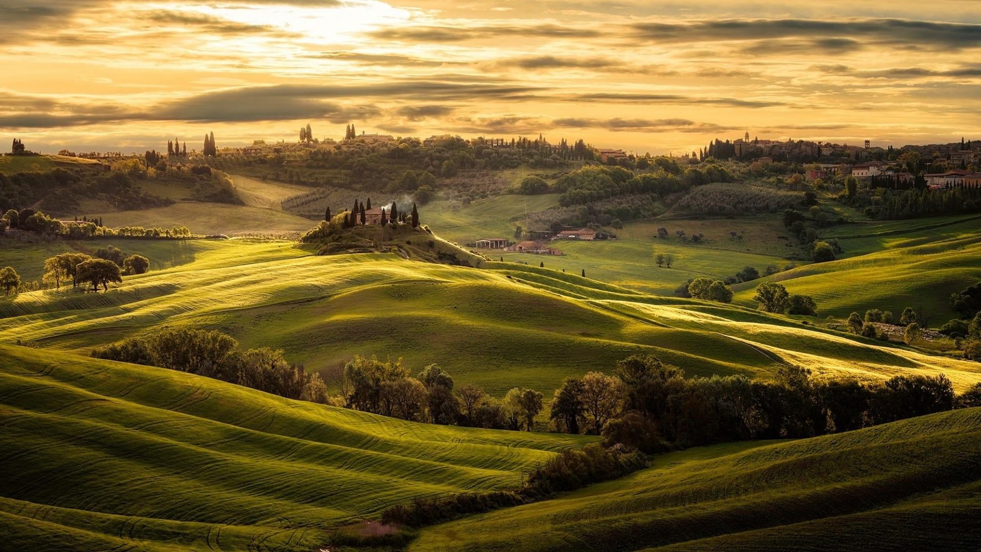 no people, land, tree, plant, grass, environment, tuscany, europe, fields, architecture, outdoors, nature, sky, residential district, travel, sun, tranquility, HD Wallpaper