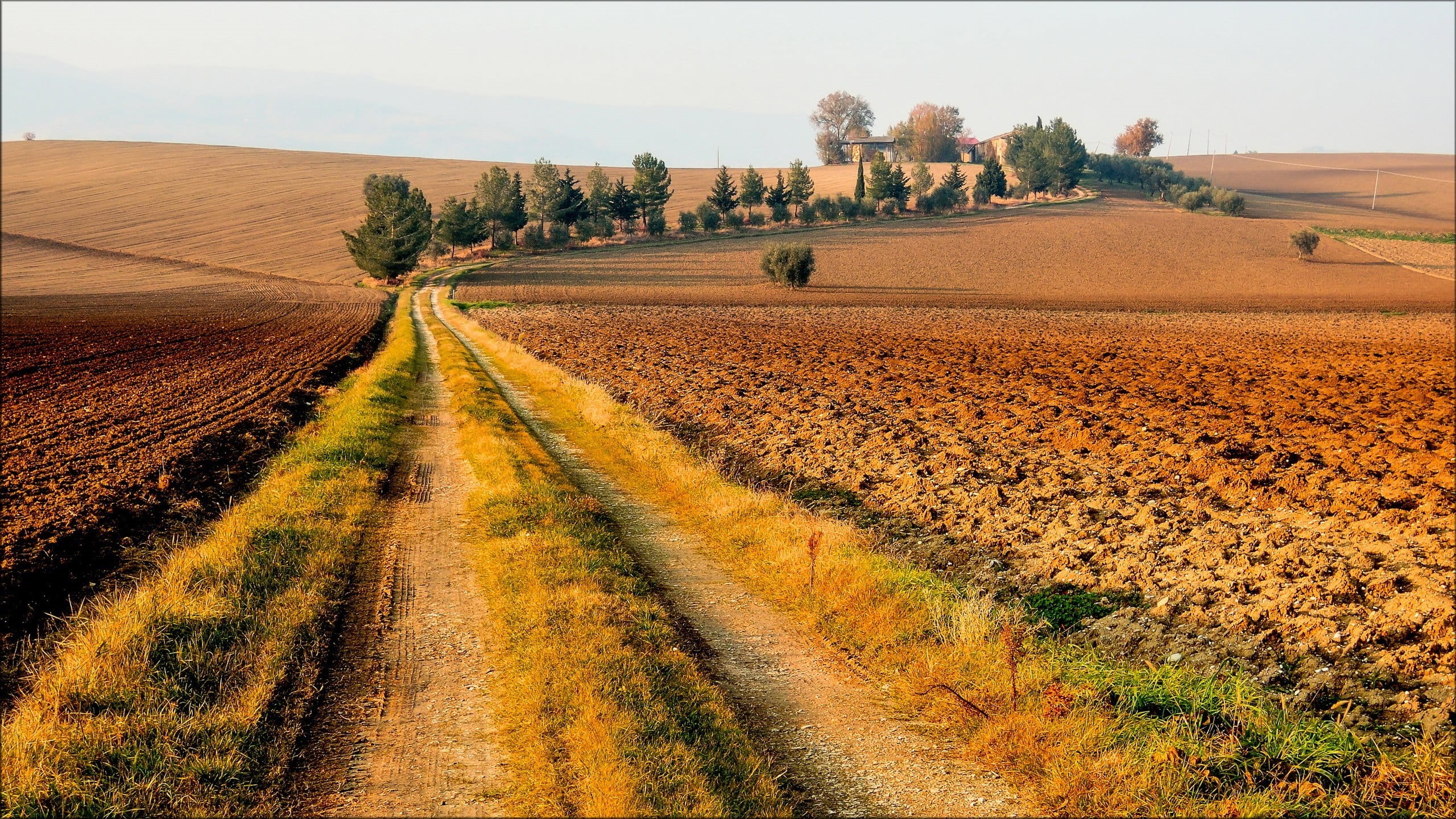 grass, no people, environment, trees, tranquil scene, tranquility, road, the way forward, landscape, scenics - nature, outdoors, rocky, dirt road, dirt, HD Wallpaper