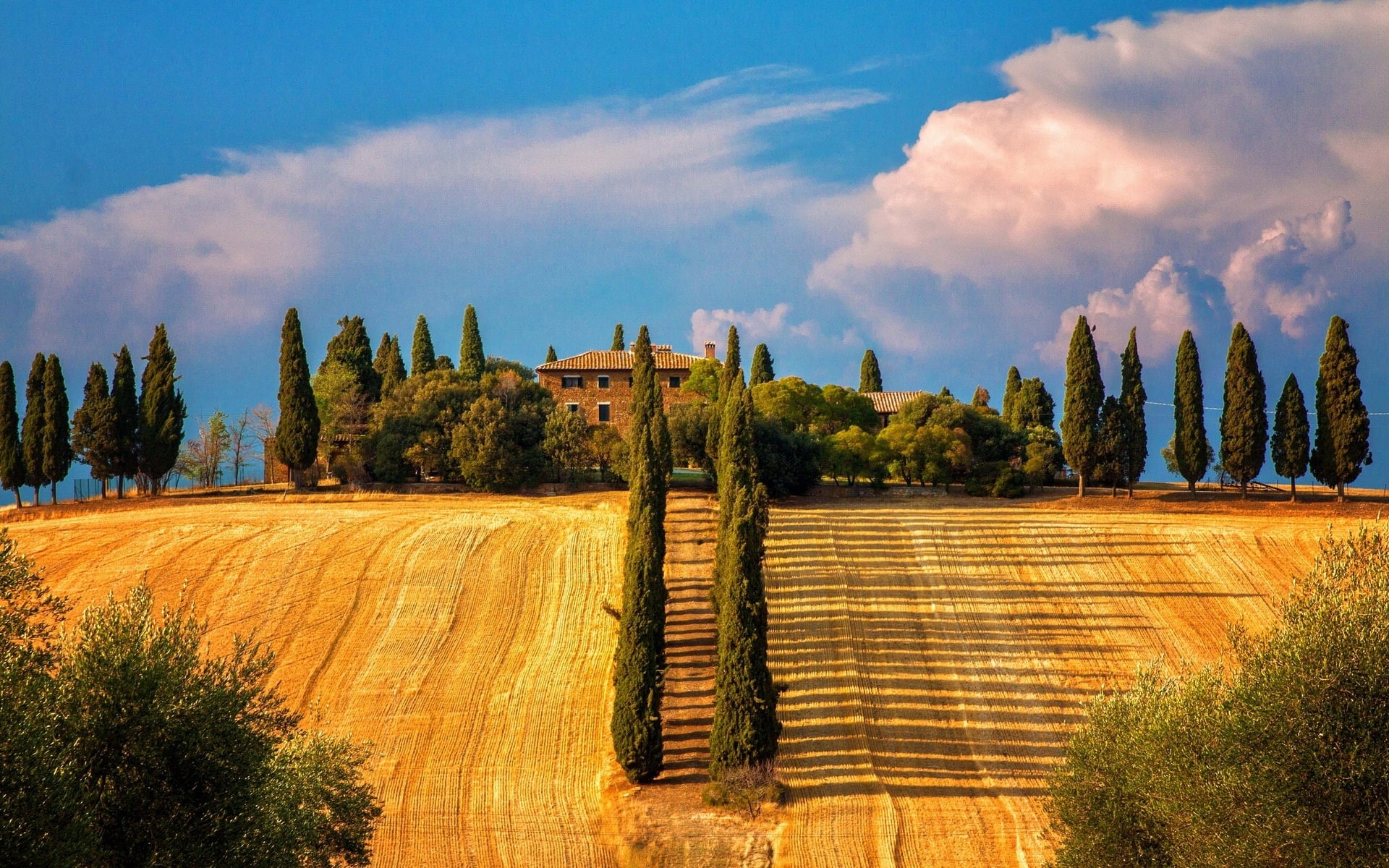 Cypresses, Summer, Italy, Siena, Fields, House, Trees, Tuscany, 1080P, HD Wallpaper