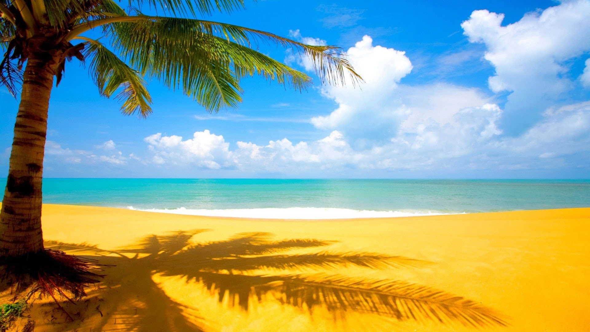 palm leaf, scenics - nature, sand, coconut palm tree, palm tree, horizon, water, beauty in nature, outdoors, no people, cloud - sky, land, plant, nature, HD Wallpaper