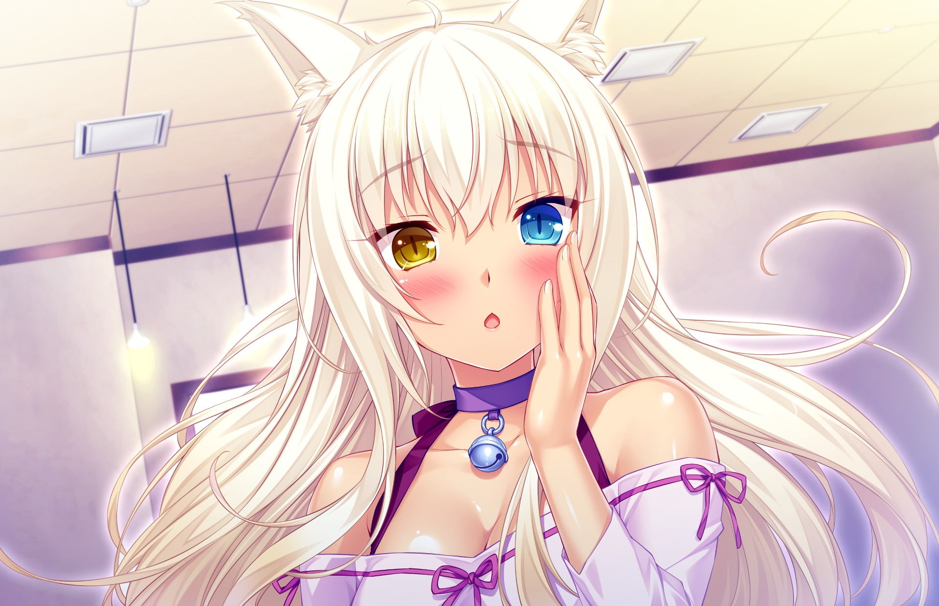 Nekopara, Anime, Neko, 1080P, Heterochromia, Coconut (Nekopara), HD Wallpaper