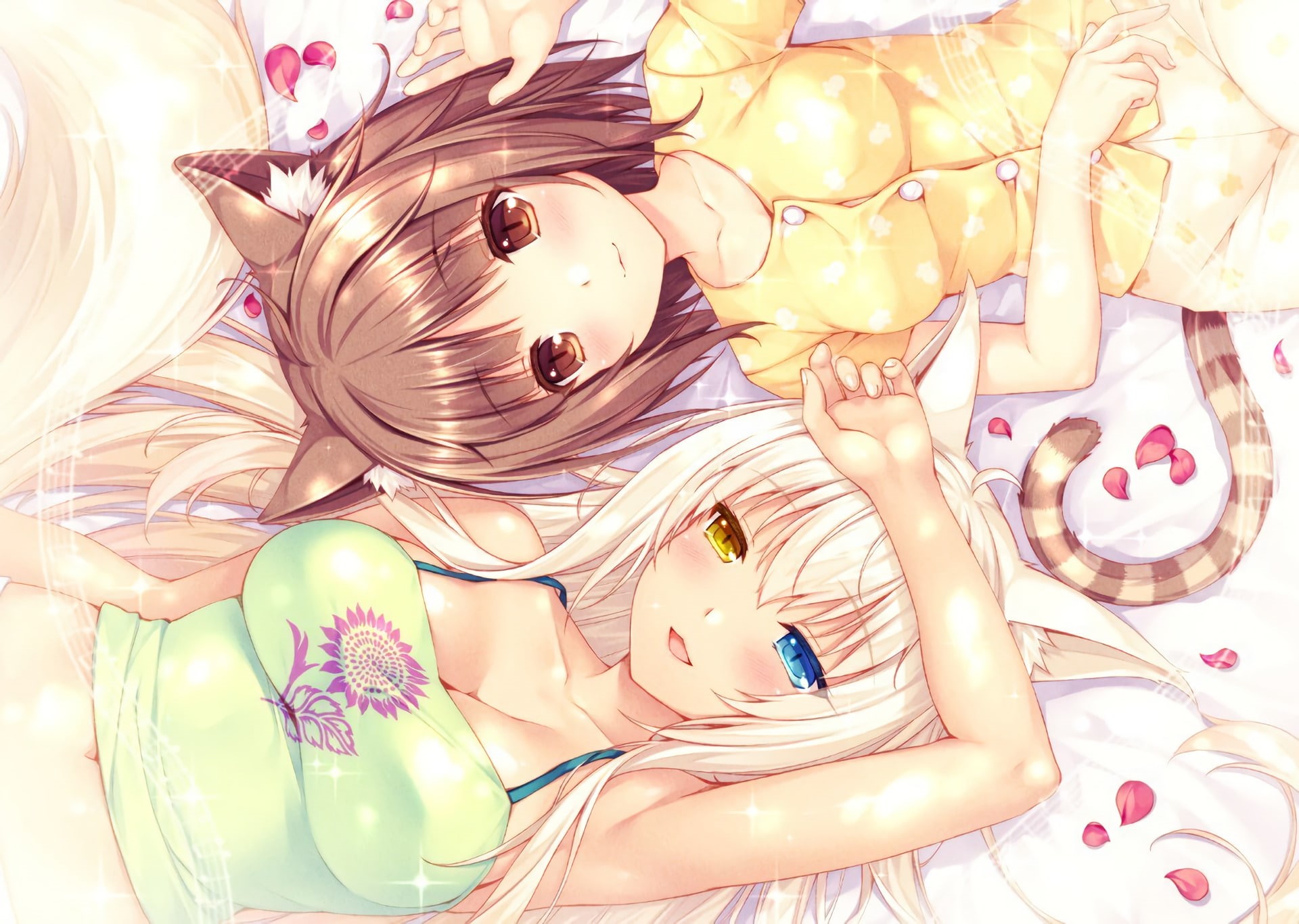 Nekopara, Anime, Coconut (Nekopara), Neko, 1080P, Azuki (Nekopara), HD Wallpaper
