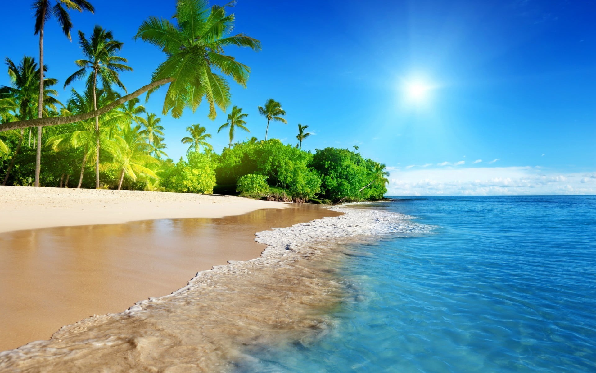 outdoors, 1080P, tranquility, tree, palm tree, water, nature, palm trees, coconut palm tree, scenics - nature, beauty in nature, blue, plant, sky, sea, HD Wallpaper