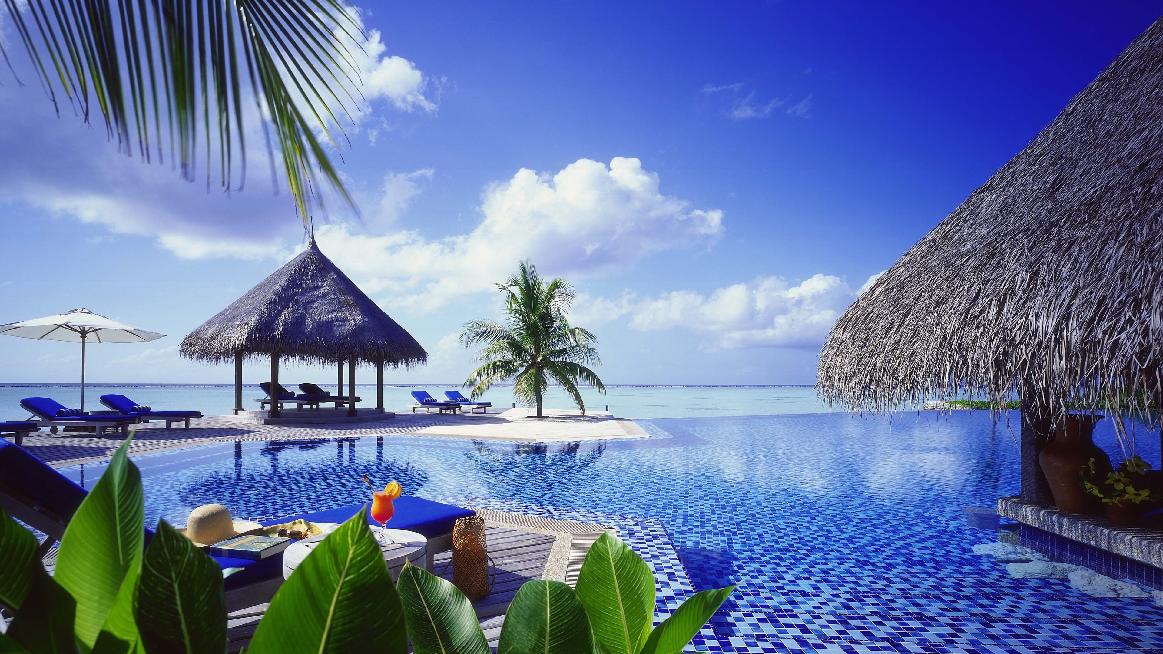 Resort, Palm, 4K, Pool, Trees, Sea, HD Wallpaper