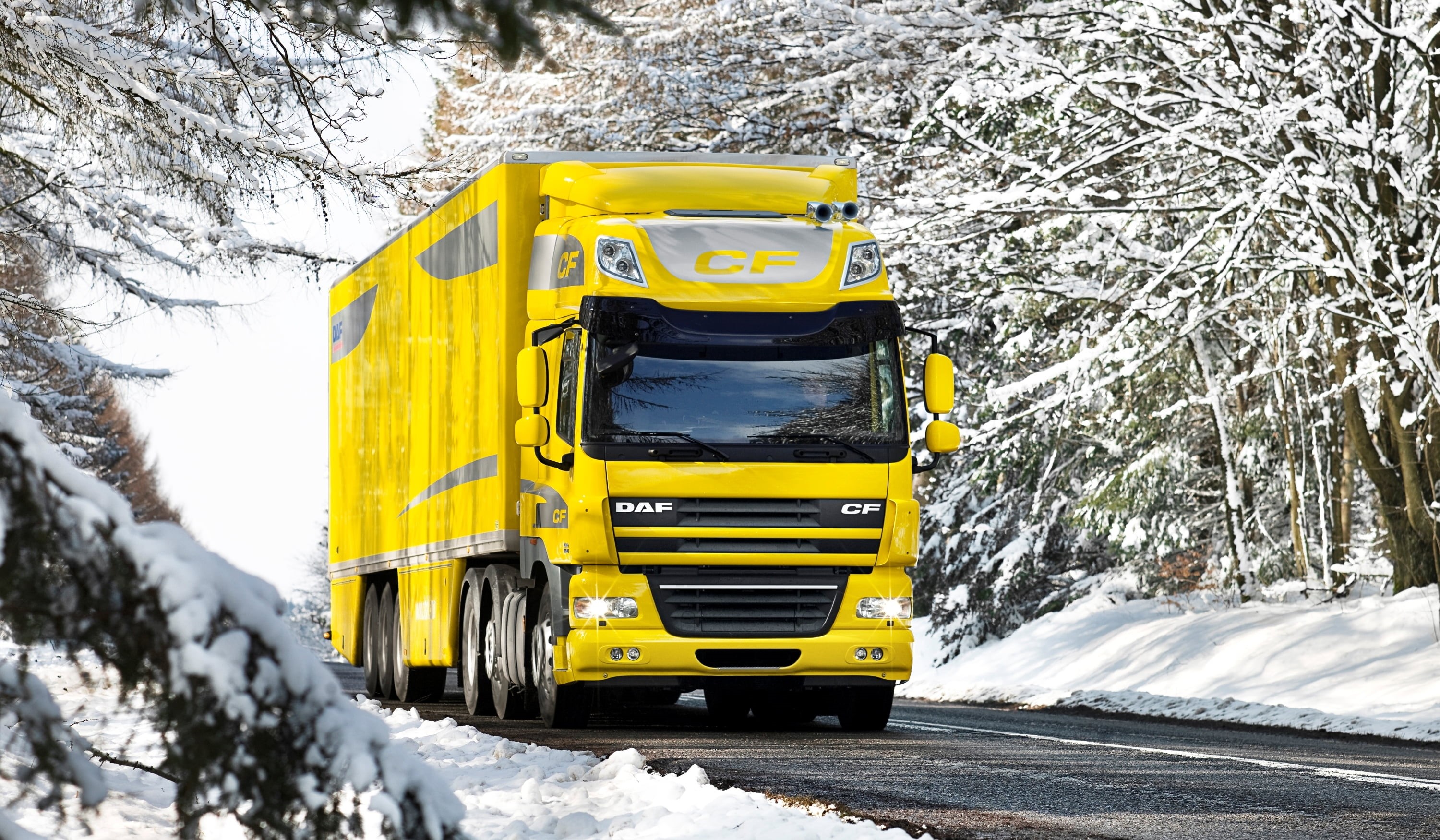 cold temperature, beauty in nature, DAF, machinery, car, business, mode of transportation, carrying, scenics - nature, street, Snow, delivering, HD Wallpaper