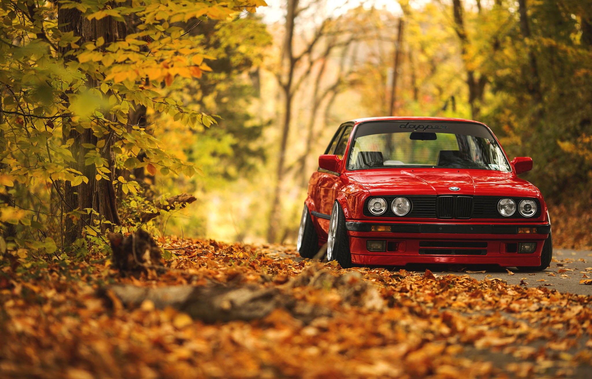 red, change, tree, BMW, plant, day, land, road, nature, leisure activity, outdoors, sedan, car, autumn, land vehicle, leaves, mode of transportation, E30, HD Wallpaper