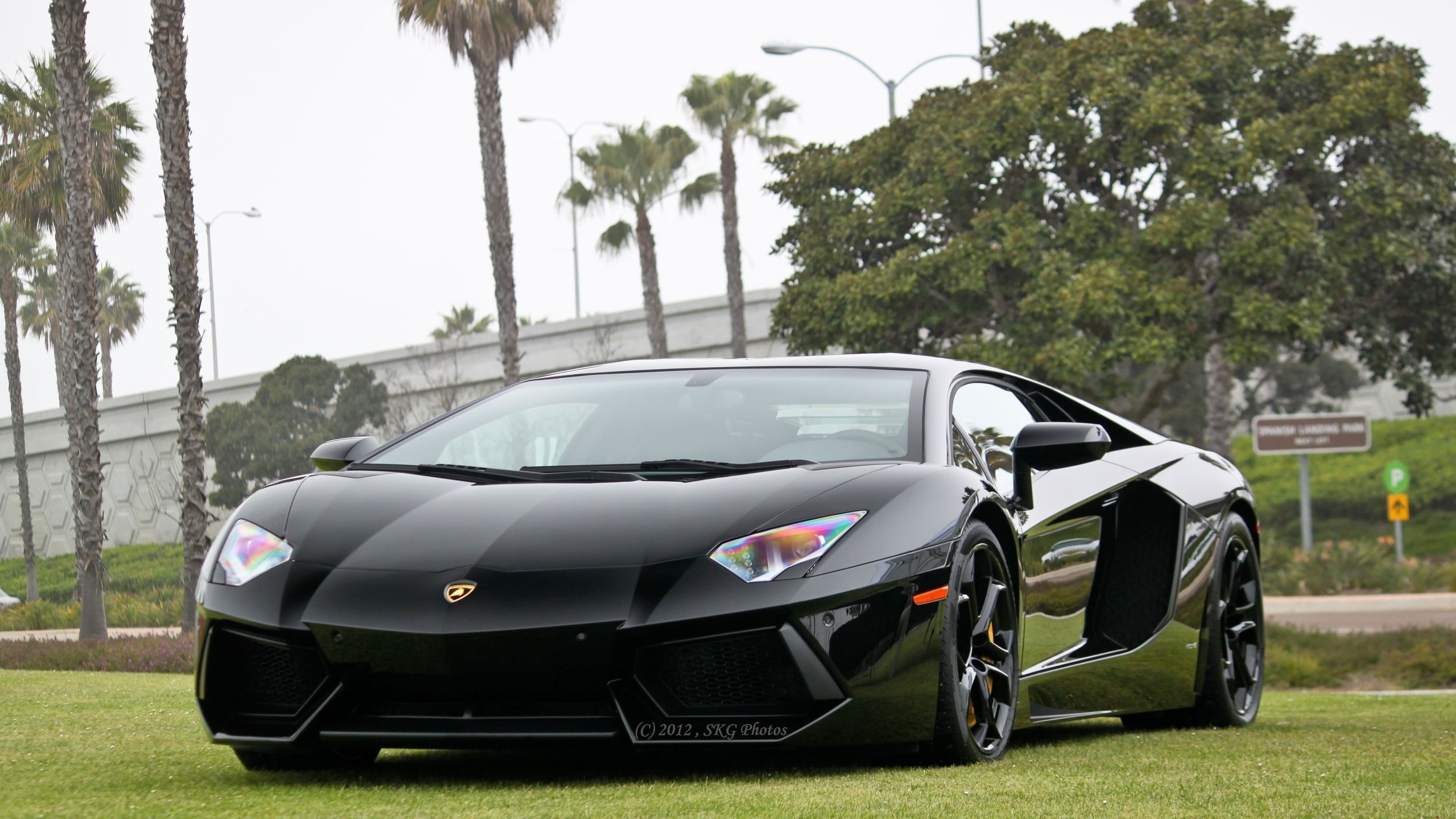 nature, city, luxury, Lamborghini Aventador, black cars, transportation, 2K, car, growth, grass, travel, land vehicle, motor vehicle, mode of transportation, HD Wallpaper