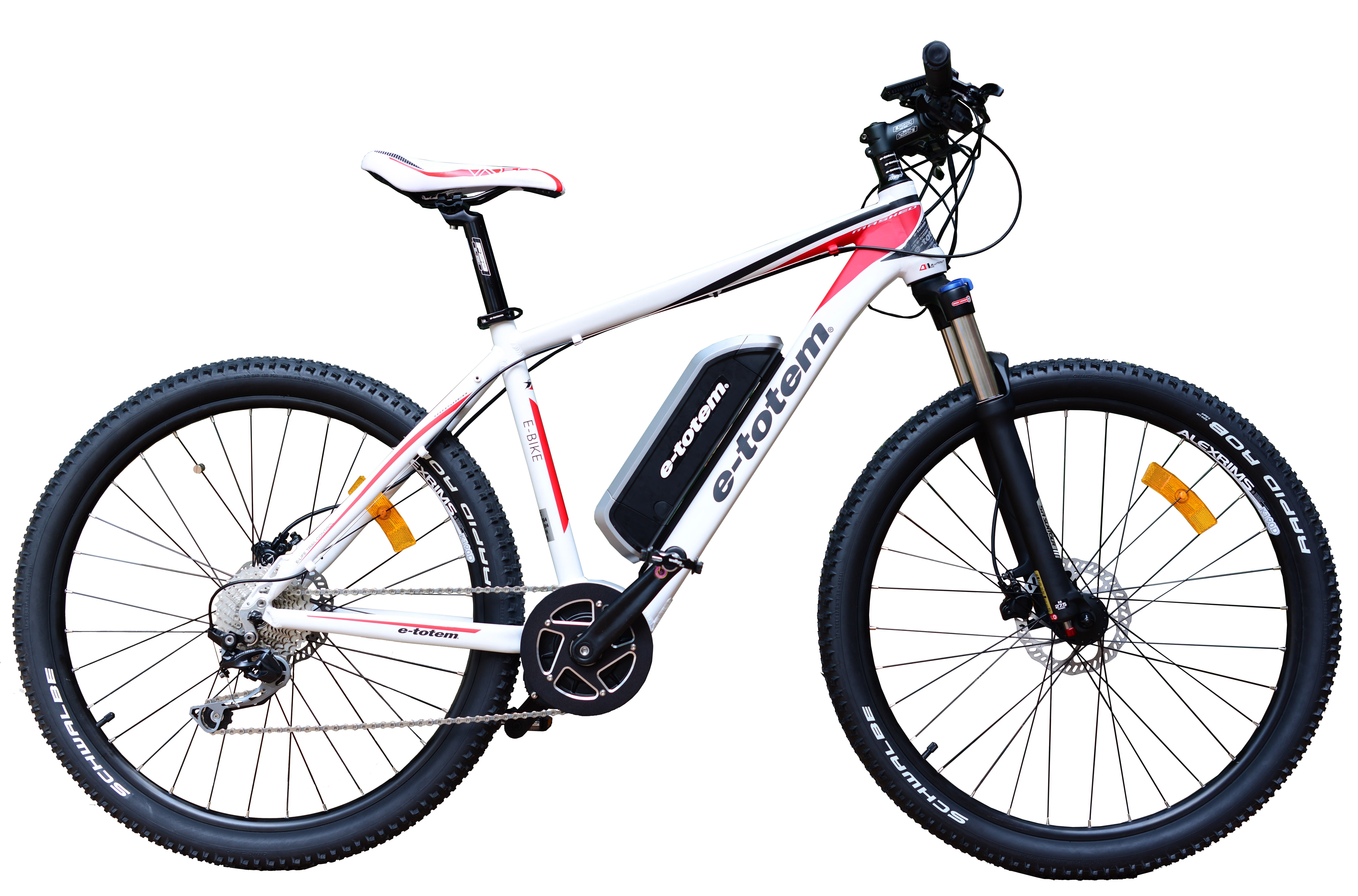 bike, spoke, travel, cycling, outdoors, metal, electric, totem, white, Mountain Bike, mountain, e, no people, Bike, mode of transport, land vehicle, street, HD Wallpaper