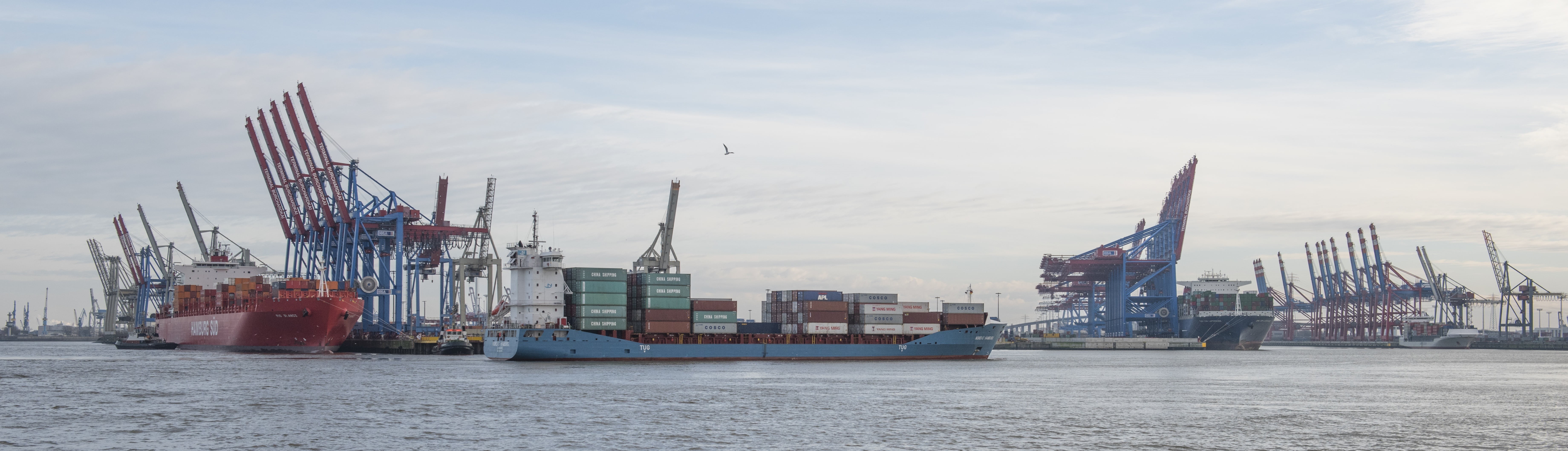 waterfront, ships, ship, day, port, water, 5K, freight Transportation, machinery, outdoors, sea, industrial Ship, cranes, trade, commercial Dock, cargo Container, HD Wallpaper