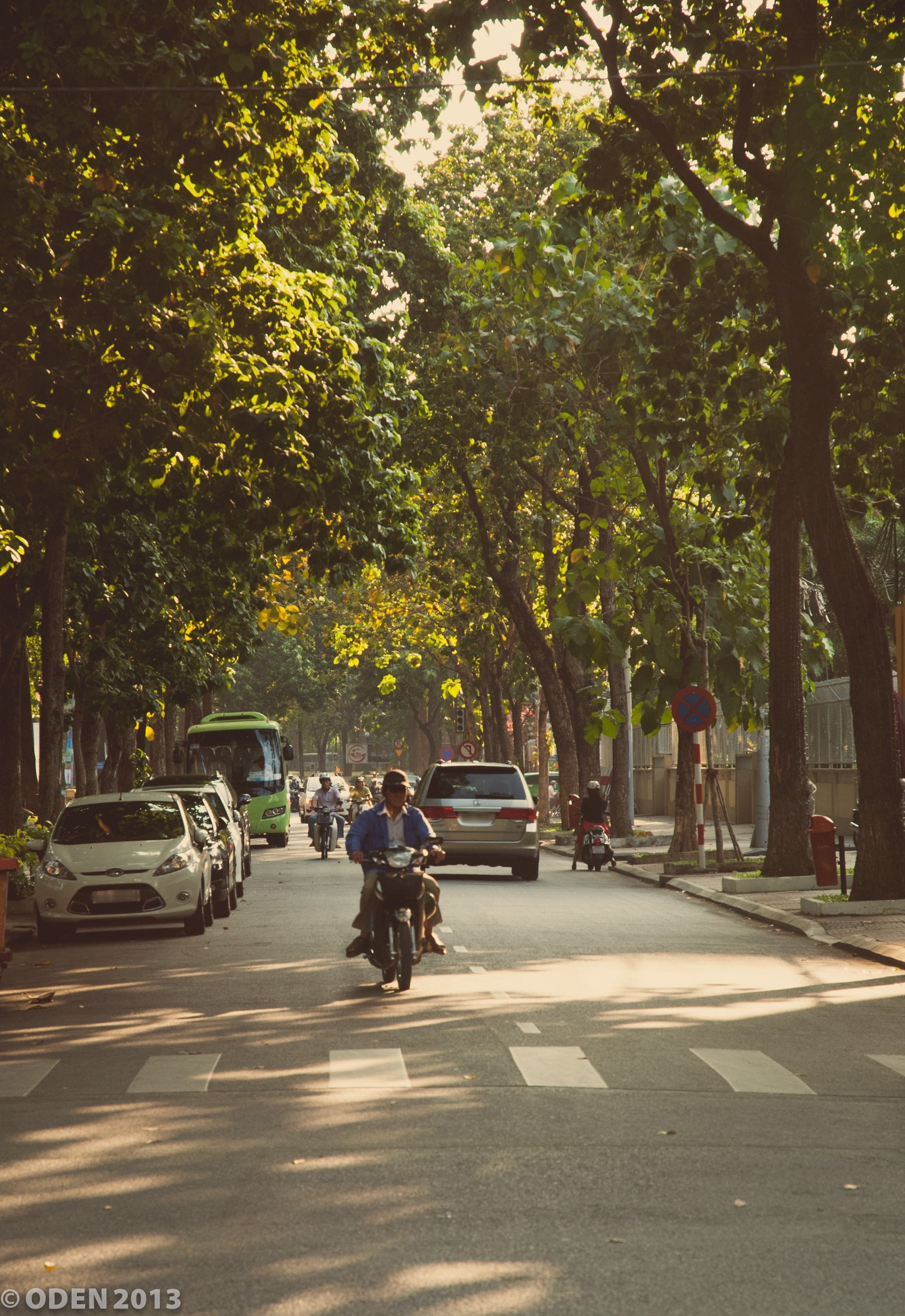 street, group of people, nature, sunlight, vietnam, men, traffic, 2K, land vehicle, car, mode of transport, Road, mode of transportation, plant, Street, Phone HD Wallpaper