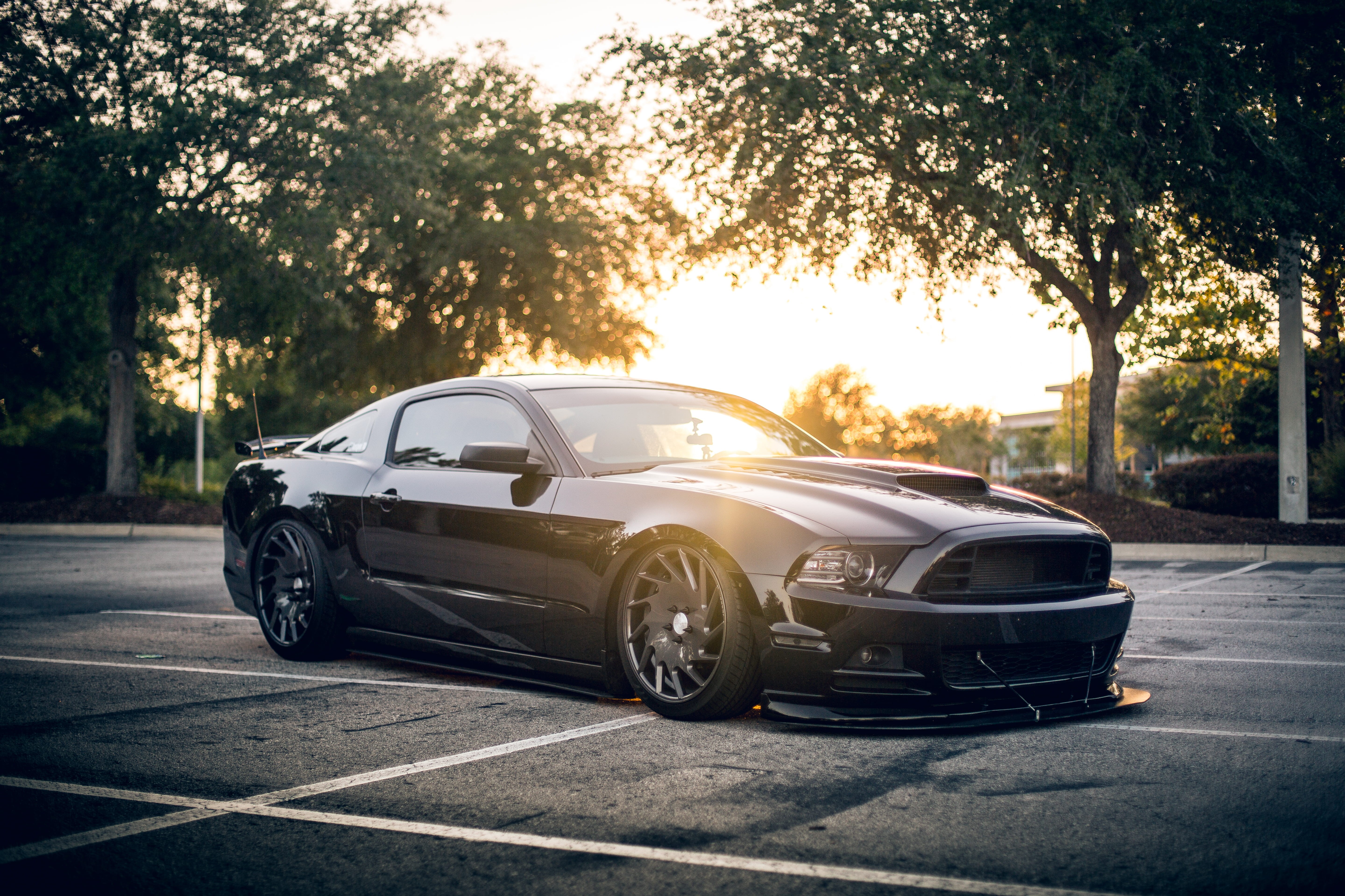 lens flare, plant, sunlight, city, car, mode of Transport, asphalt, near, sports Car, nature, road, luxury, coupe, gt, street, parked, sunset, lowered, HD Wallpaper