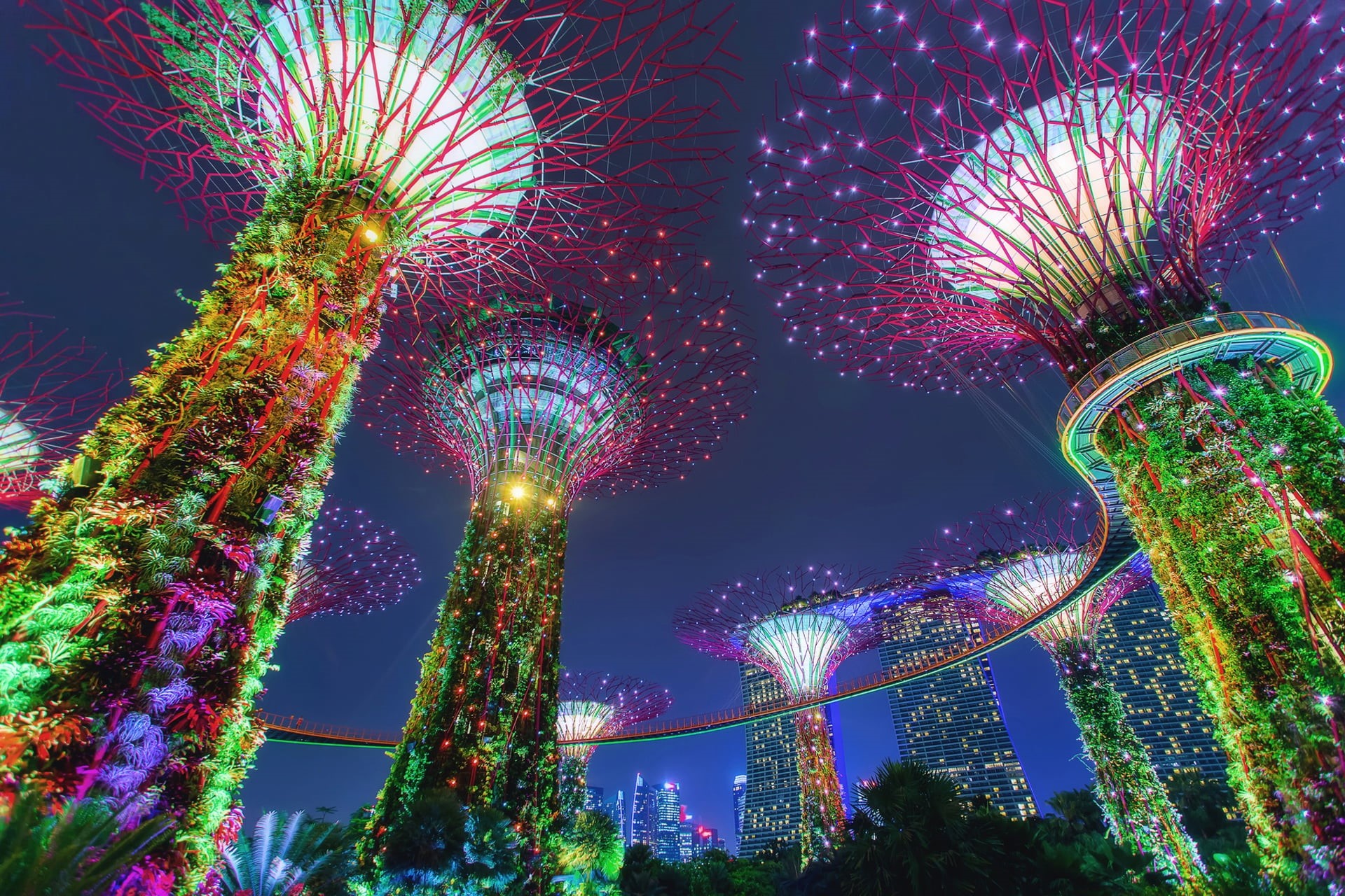 1080P, Gardens by the Bay, Park, sverkhderzhava, Singapore, illumination, Supertree Grove, HD Wallpaper