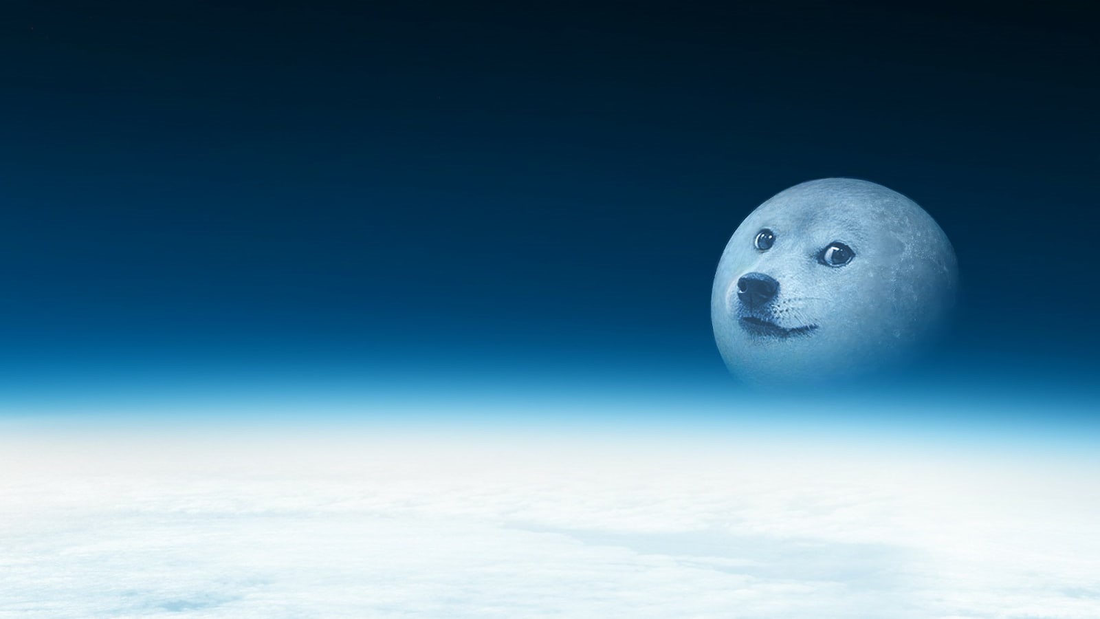 Shiba Inu, 720P, doge, HD Wallpaper