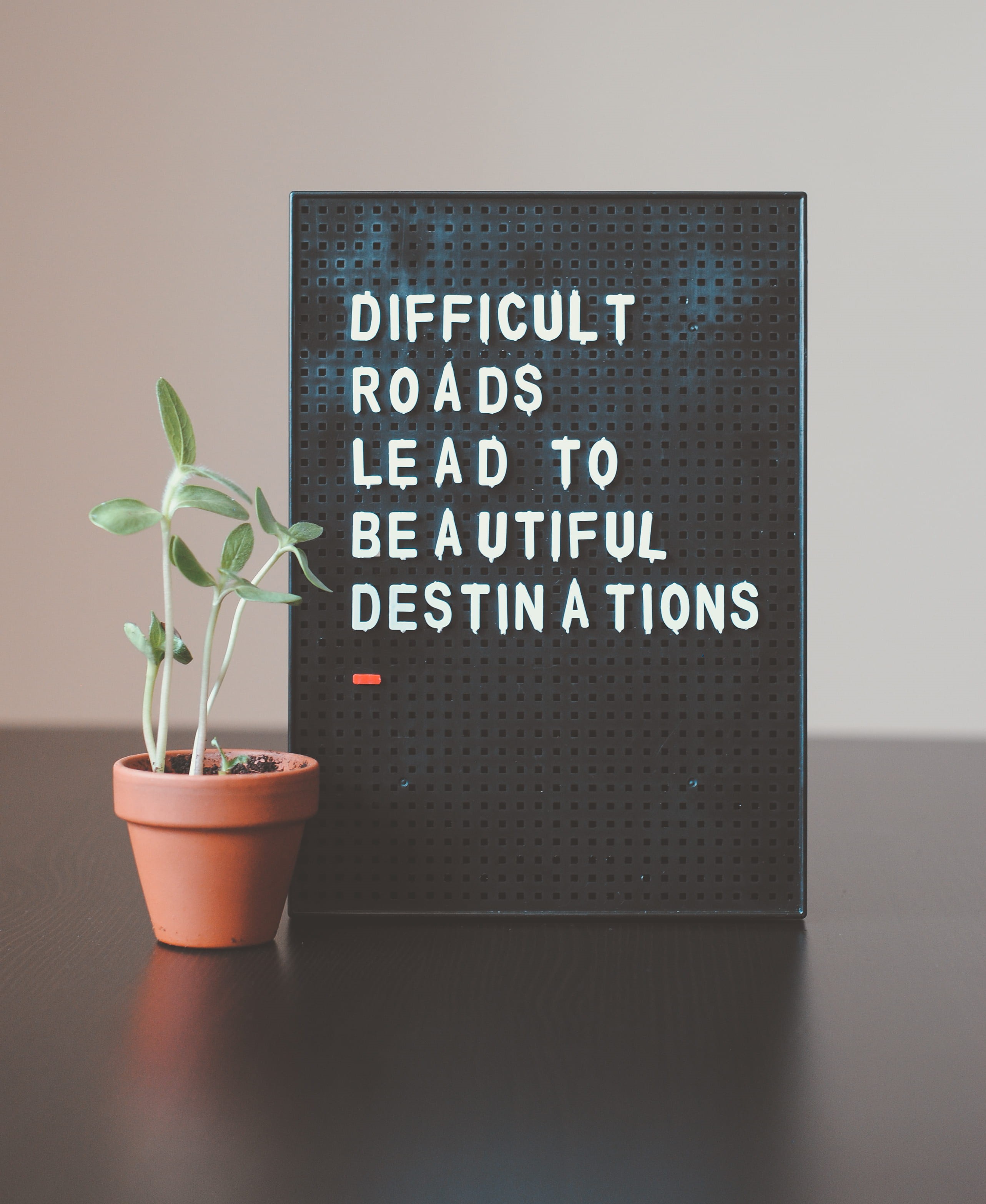 pegboard, decor, flower, table, message, green, destinations, difficult, beautiful, potted, word, brown, design, studio shot, plant part, quote, growth, Phone HD Wallpaper