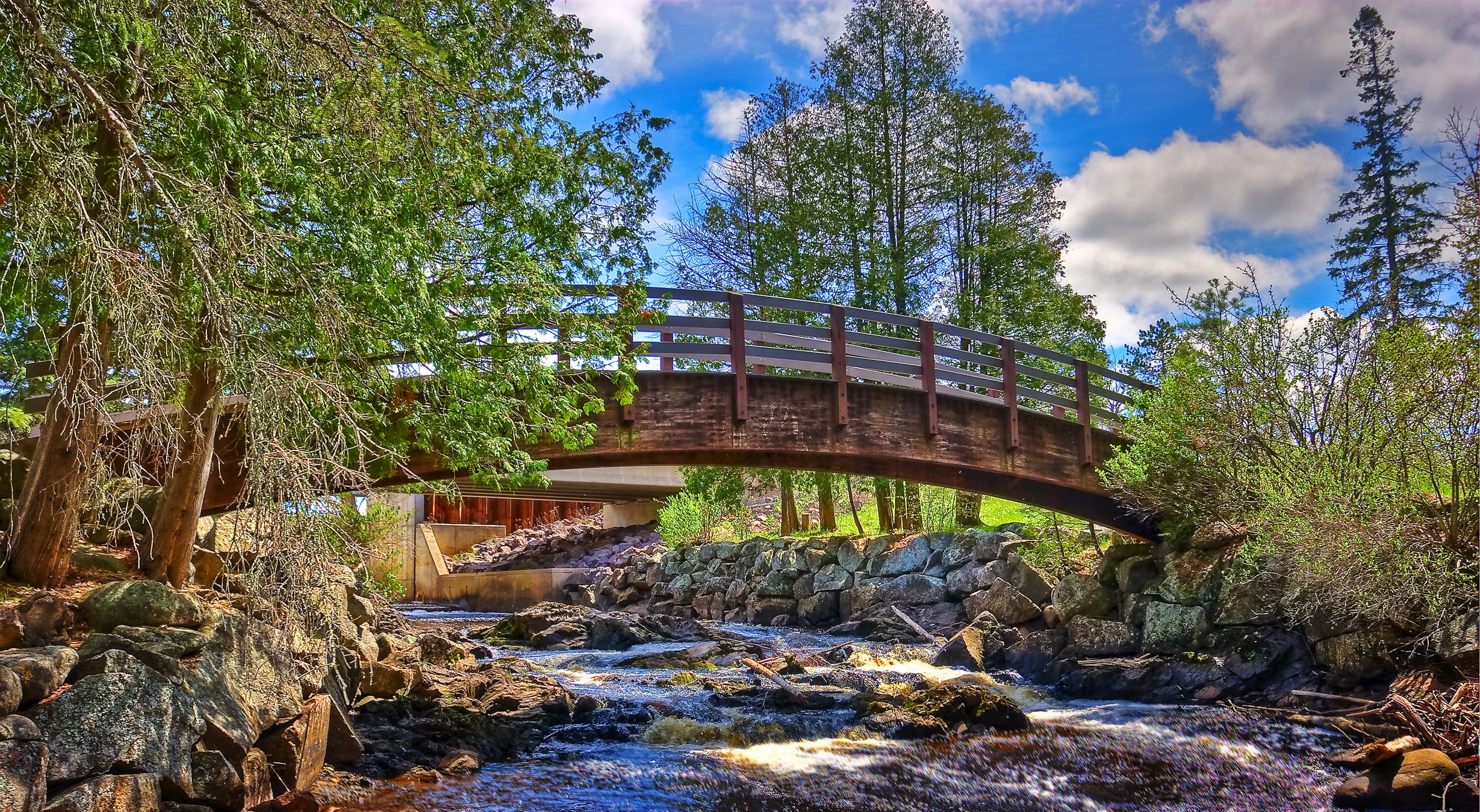 surrounded, river, trees, brown, tree, hdr, nature, black river, bridge - Man Made Structure, 1080P, green, Wisconsin, Zen, Pattison State Park, forest, HD Wallpaper