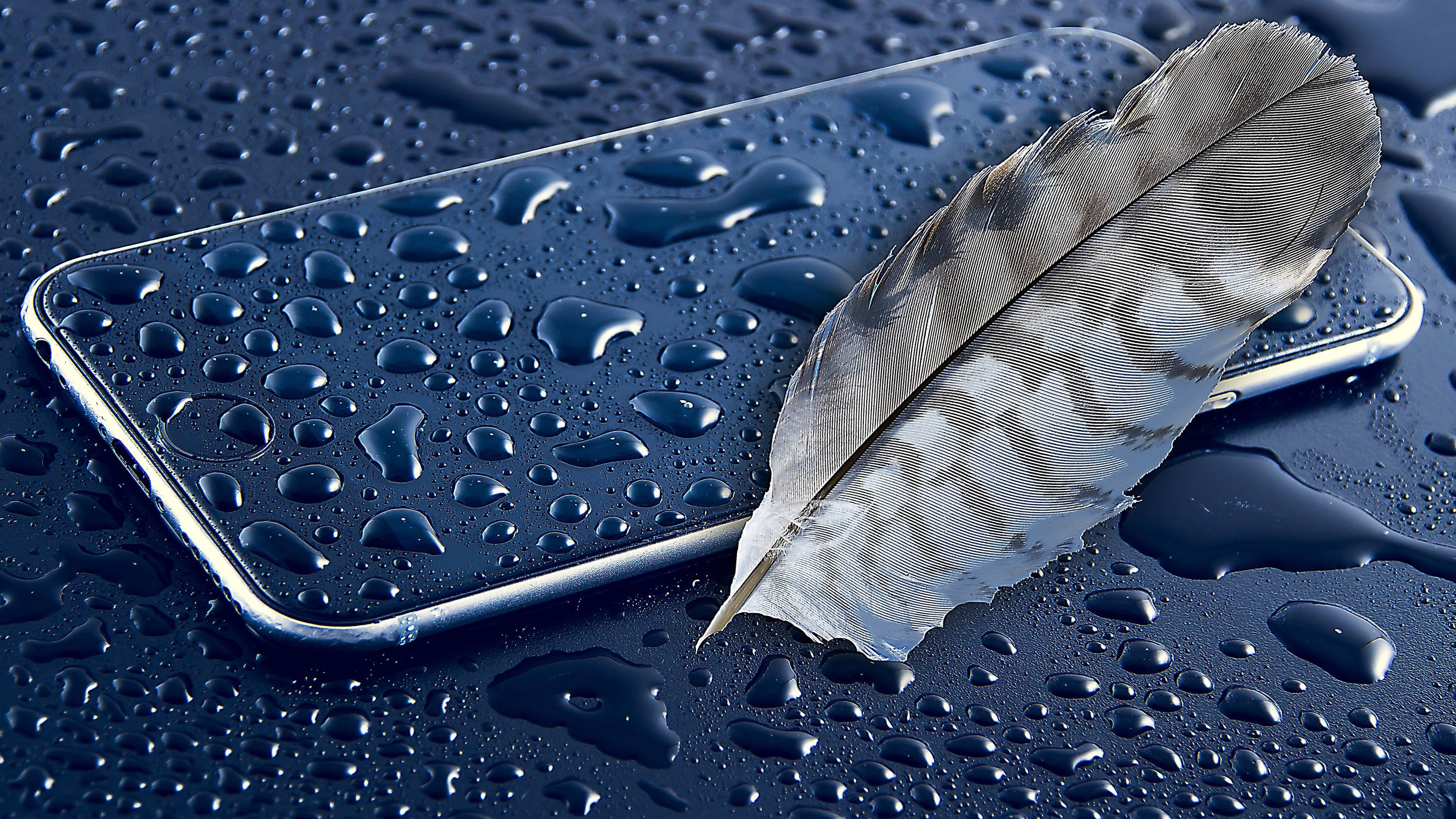 iPhone, blue, still life, gray, feathers, close-up, science, rain, table, dew, water, pattern, wet, drop, space, no people, high angle view, metal, 4K, HD Wallpaper
