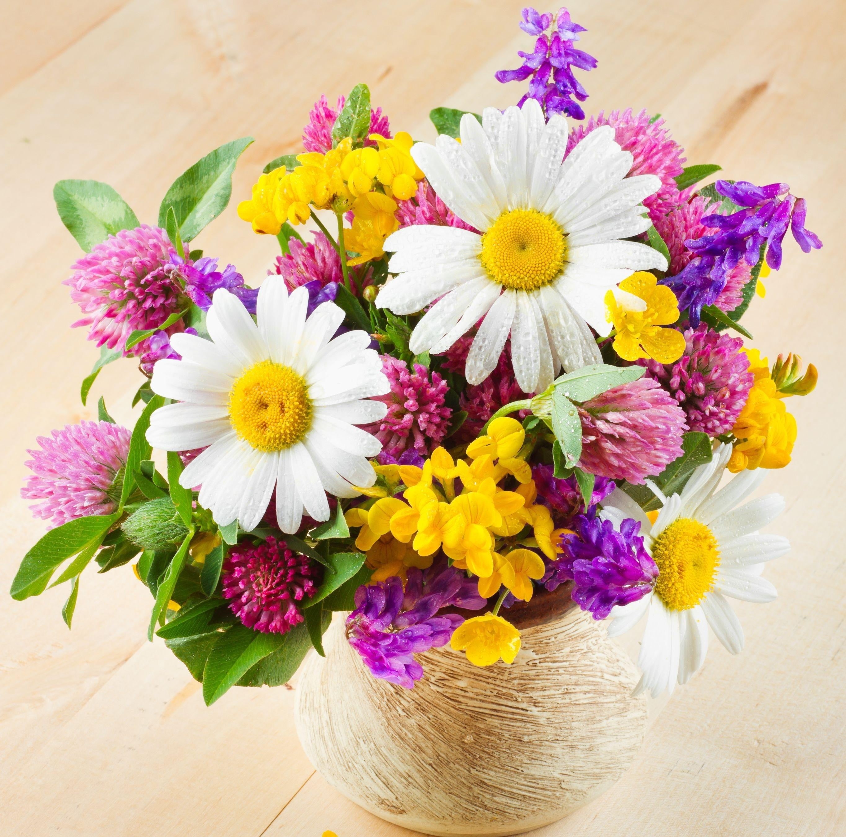 flowering plant, fragility, table, pink Color, flowers, celebration, daisies, blossom, plant, backgrounds, decoration, birthday, wood - Material, season, HD Wallpaper