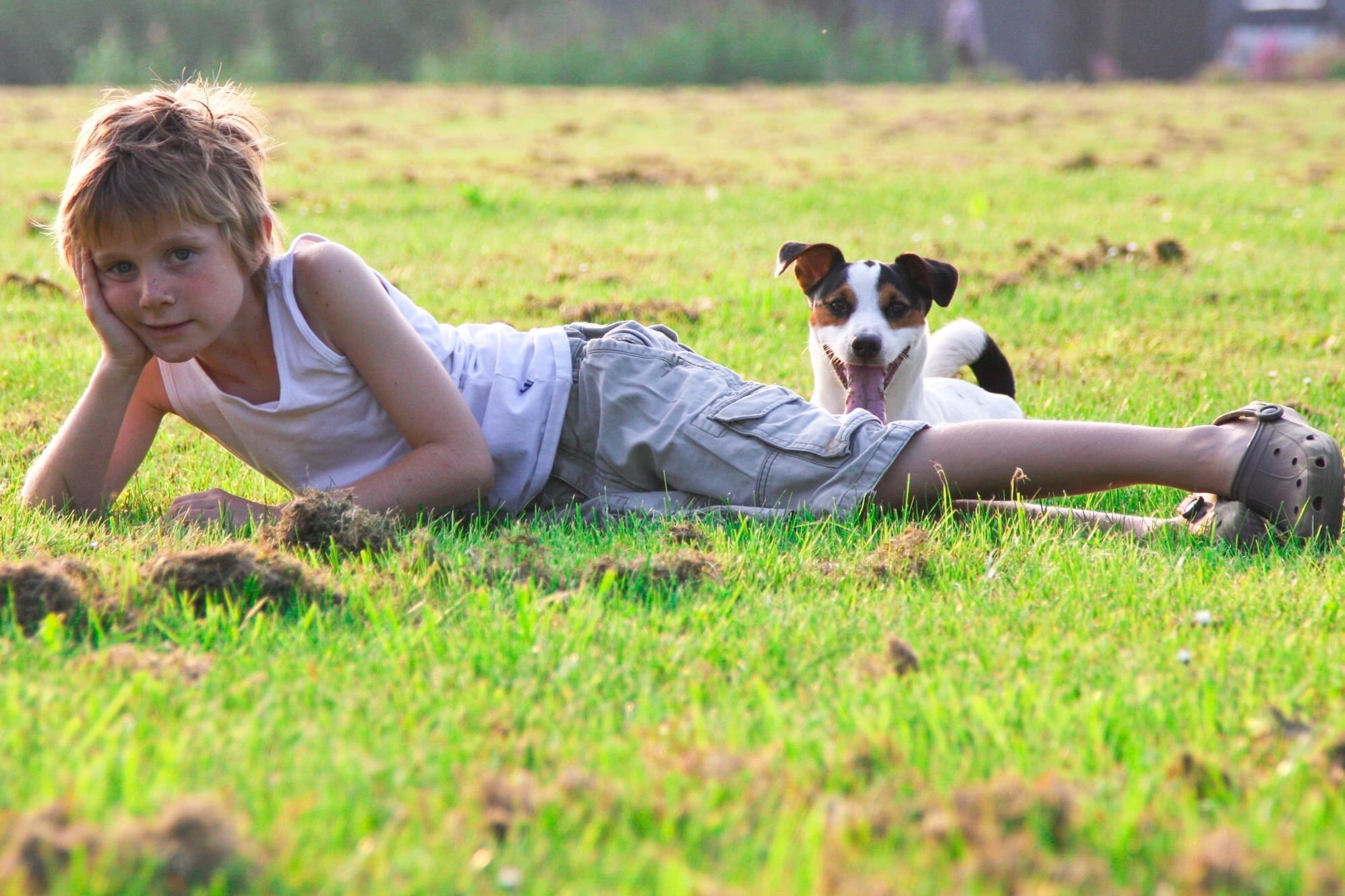 selective focus, exhausts, pet owner, pets, care, canine, top, innocence, people, friendship, mammal, welfare, beauty, one person, dog, happiness, boys, HD Wallpaper