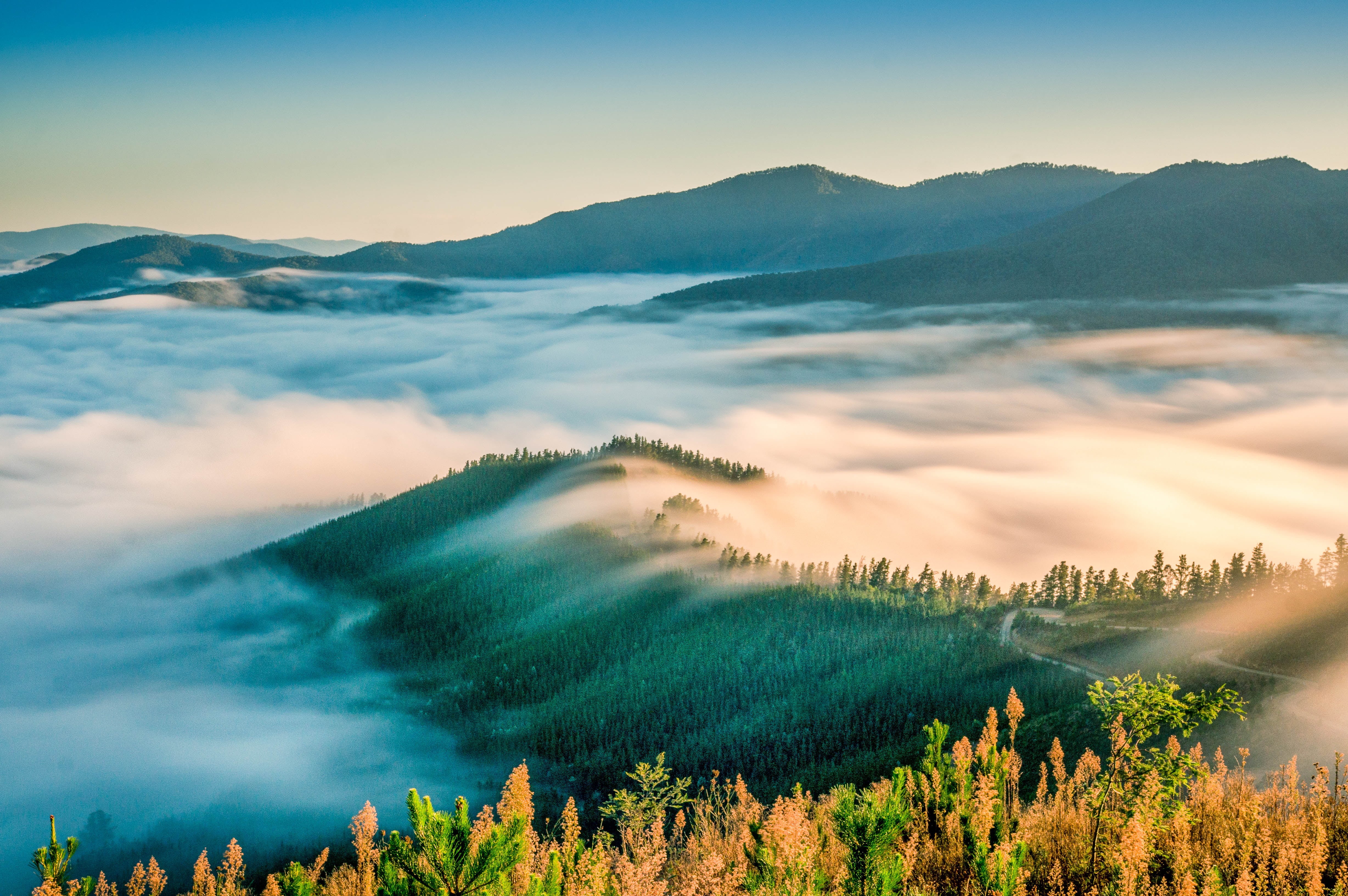 scenics, green, Landscape, sunset, forest, black mountains, black, north east victoria, fog, mountains, high country, nex 6, Long Exposure, jpg, morning, HD Wallpaper