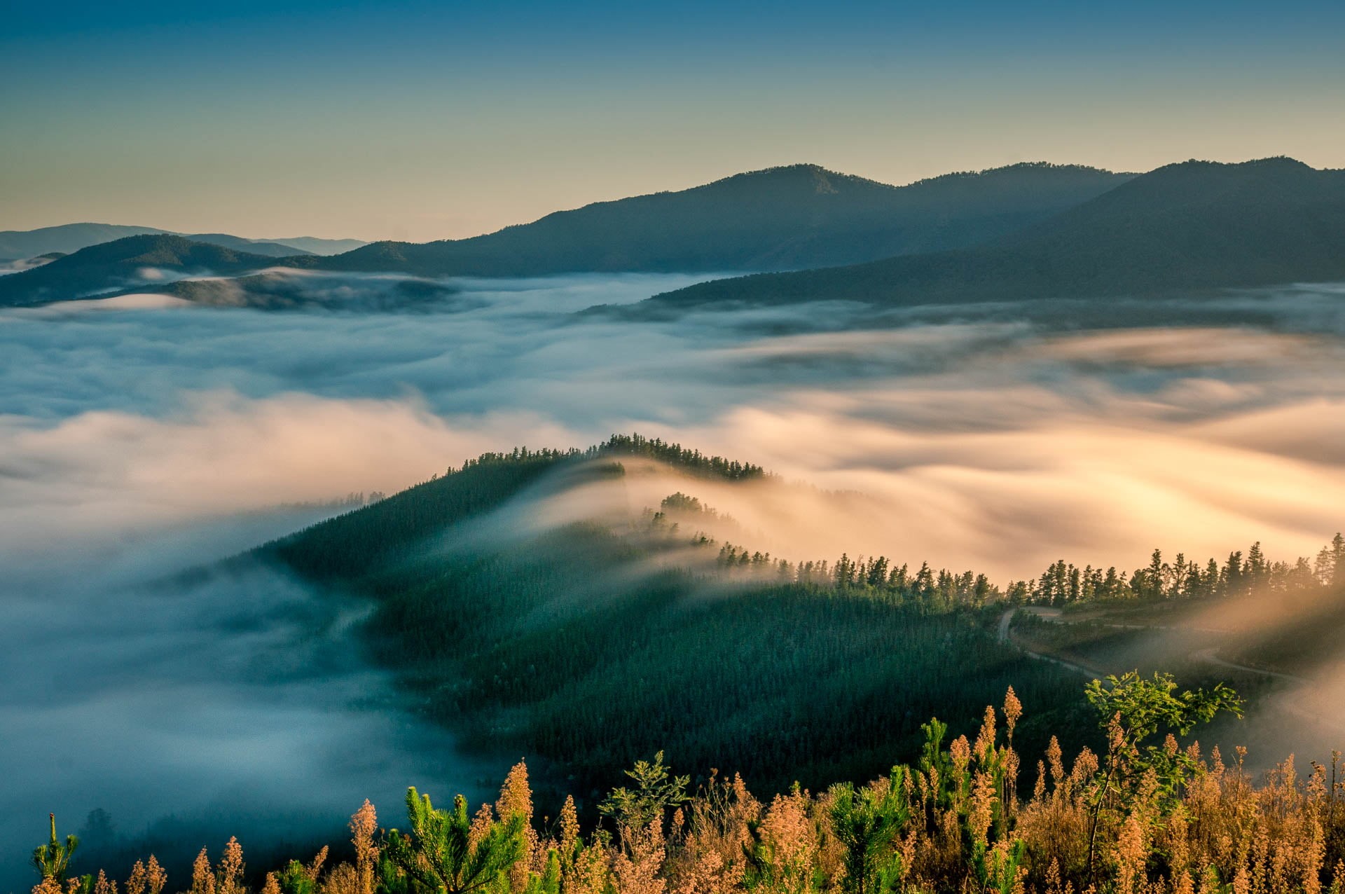 Peak, fog, beauty In Nature, high country, north east victoria, jpg, tree, Landscape, Parrot, Long Exposure, 1080P, covered, Australia, sunrise - Dawn, HD Wallpaper
