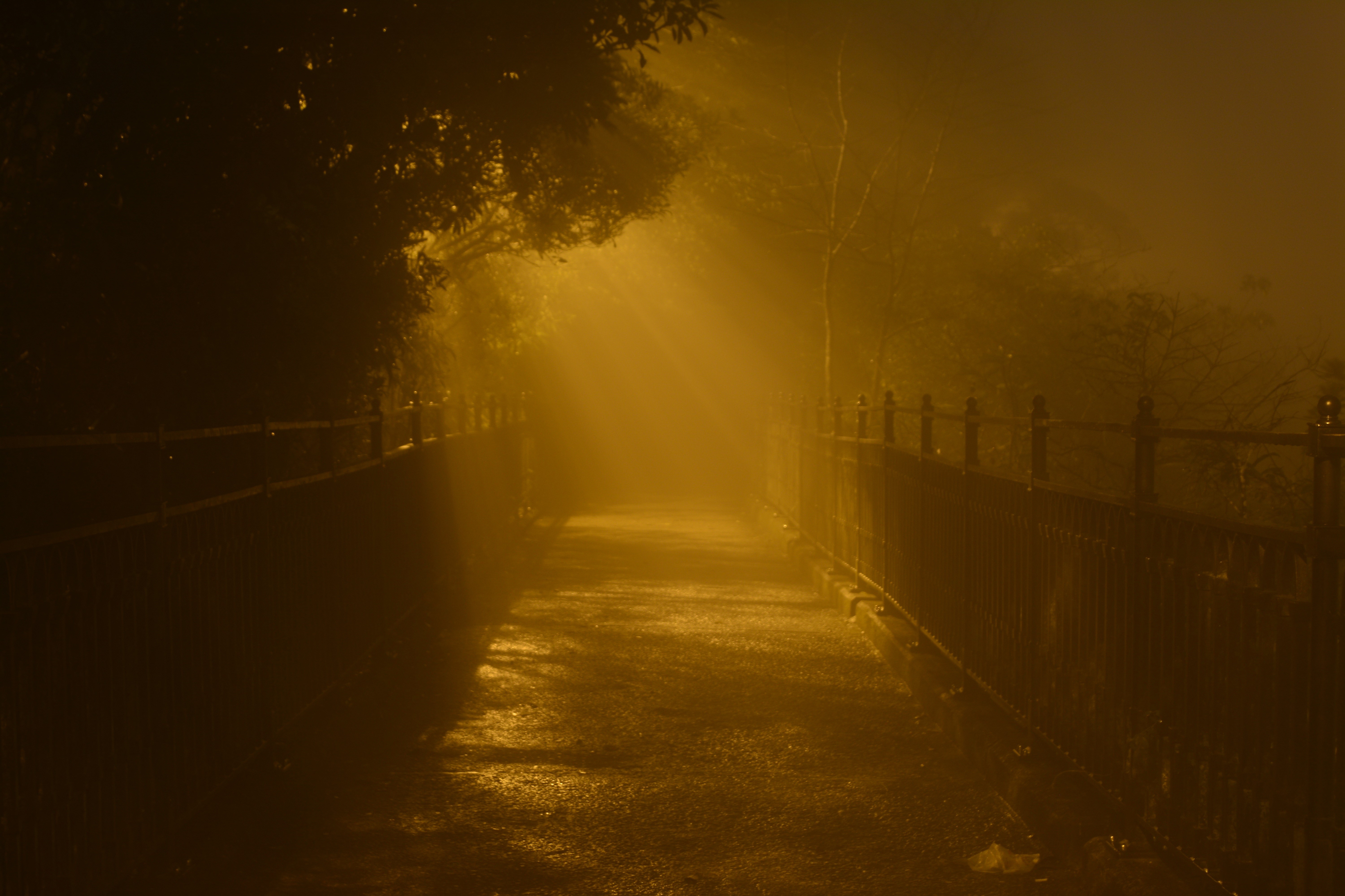 the way forward, asia, road, outdoors, sunlight, fog, light, night, land, plant, hong, hong kong, 5K, architecture, city, foggy, forest, direction, no people, HD Wallpaper