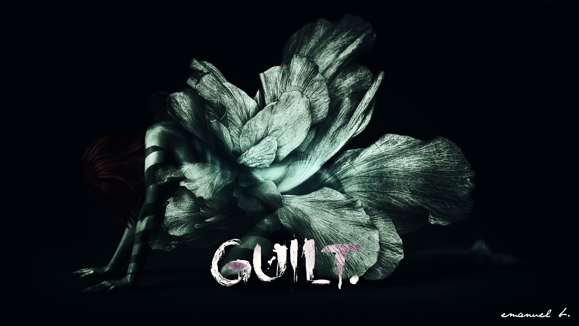 growth, dark, petal, overlay, beauty in nature, still life, close-up, typography, black background, nature, text, plant, vulnerability, freshness, inflorescence, HD Wallpaper