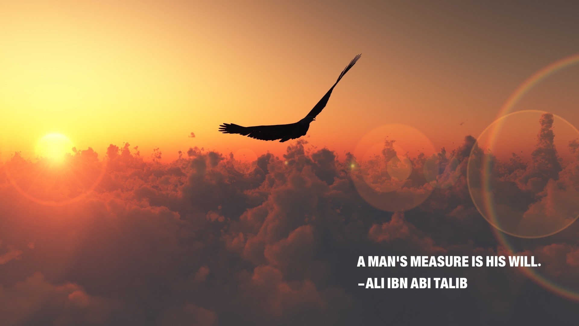 Ali Ibn Abi Talib, Islam, quote, sunrise, sunset, motivational, clouds, eagle, 1080P, Imam, nature, HD Wallpaper