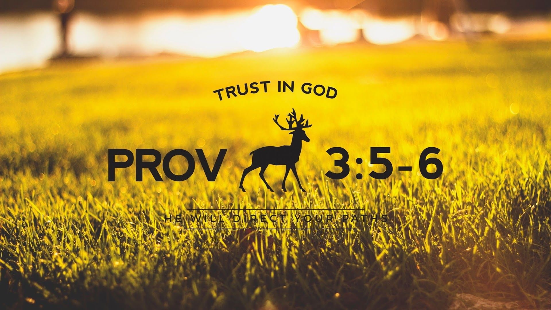 religion, 1080P, typography, text, motivational, verses, bible, quote, HD Wallpaper