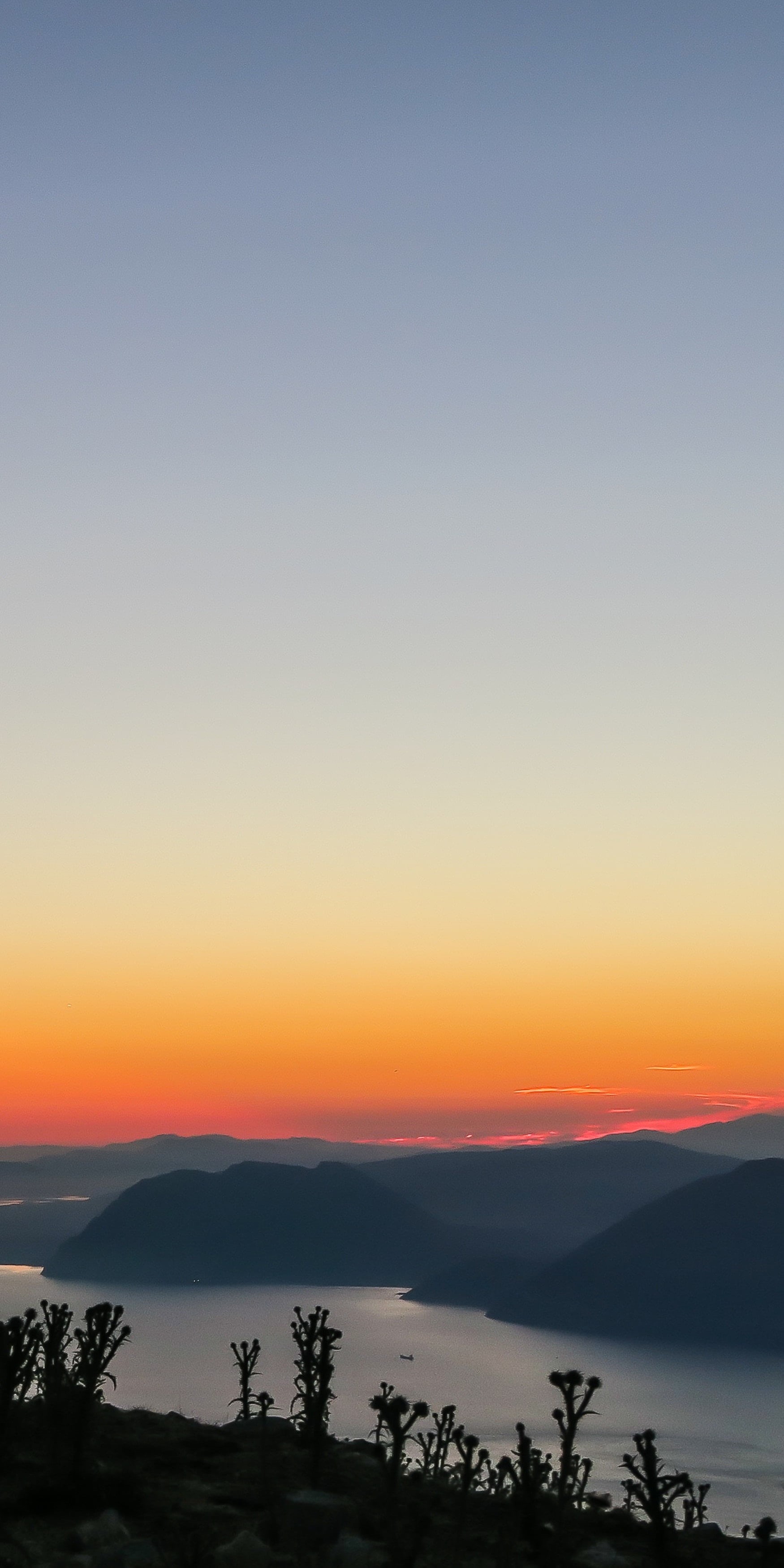 scenics - nature, clear sky, outdoors, iPad, idyllic, 2K, sky, plant, sunset, no people, tranquility, iPhone, silhouette, non-urban scene, Ipod, nature, Phone HD Wallpaper