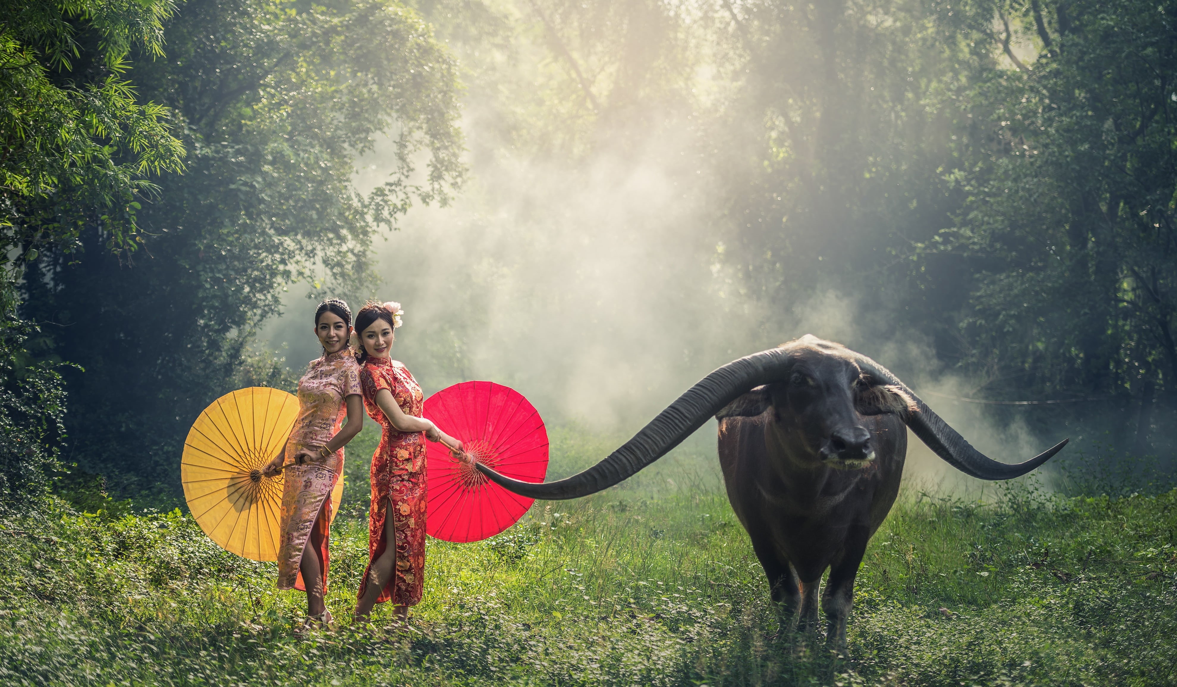 pinch, long, horned, beside, culture, vietnam, only women, photo, hands, one person, suit, women, takes, cambodia, myanmar burma, 4K, day, vertebrate, HD Wallpaper