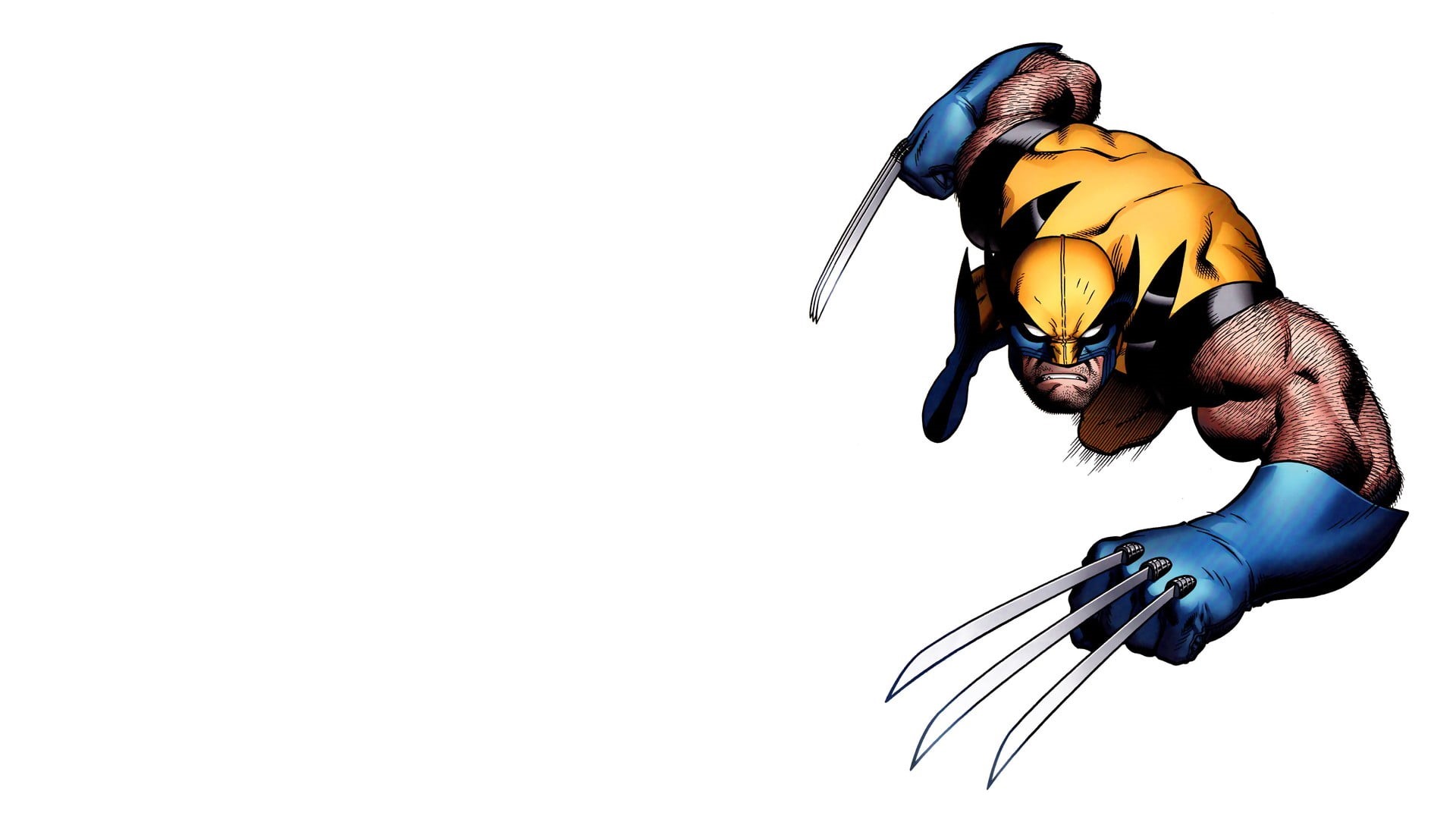 creativity, Wolverine, representation, graphic, Marvel Comics, white background, human body part, human hand, copy space, artwork, men, indoors, close-up, HD Wallpaper