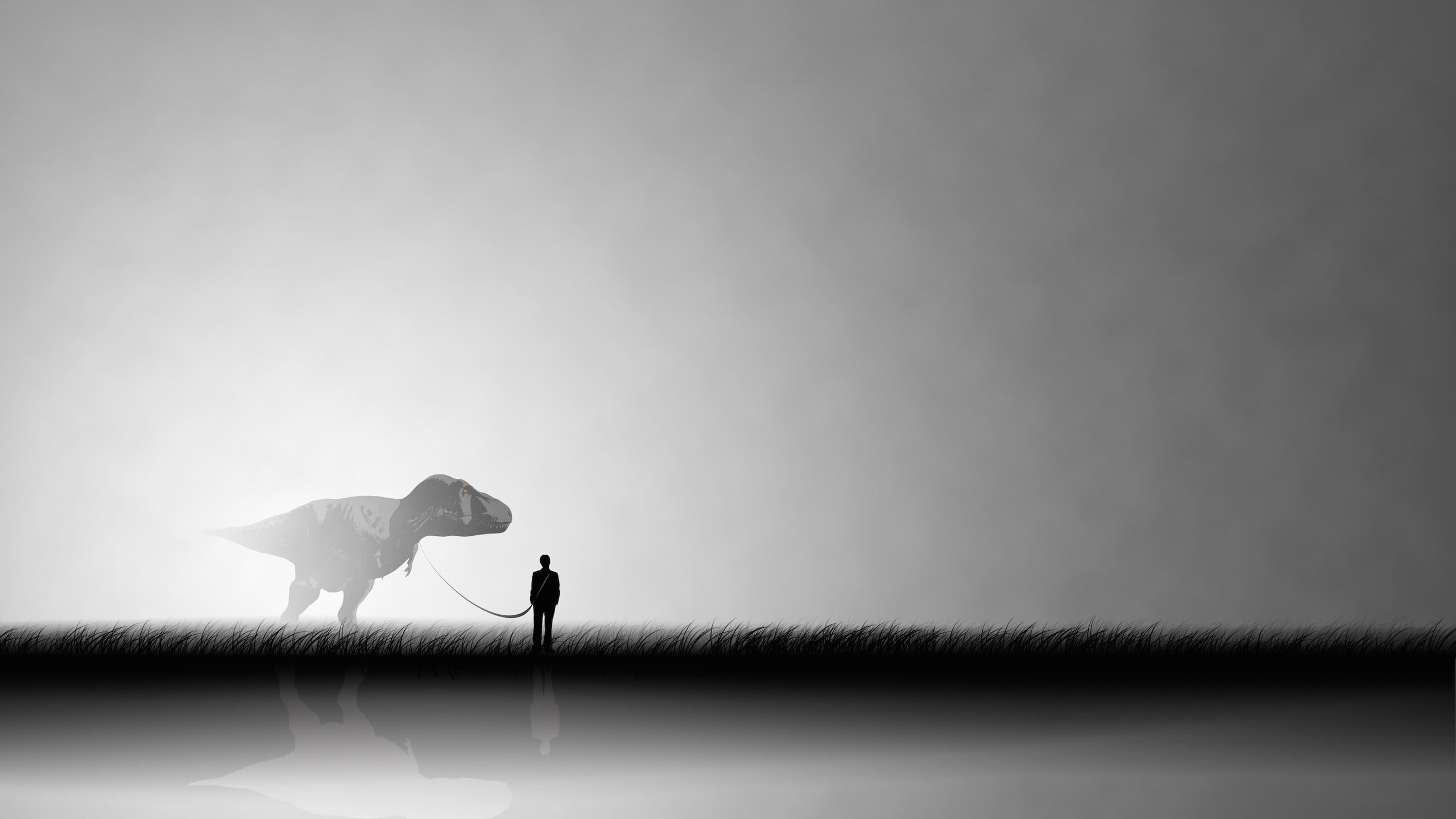 performance, walking, nature, mammal, shadow, arts culture and entertainment, indoors, balance, people, side view, studio shot, untitled, one animal, silhouette, HD Wallpaper