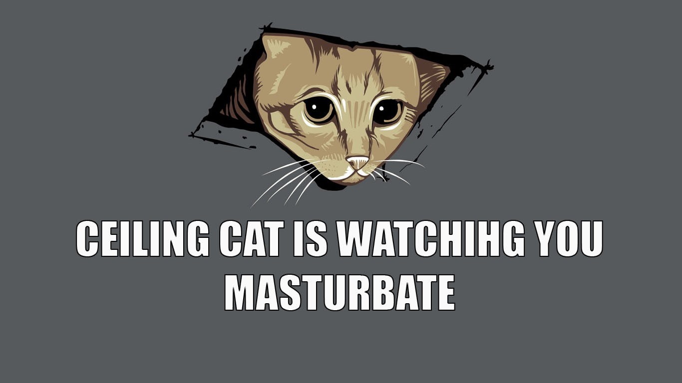 sign, Memes, no people, cats, black background, cut out, internet, wireless technology, close-up, 720P, studio shot, copy space, computer network, technology, HD Wallpaper
