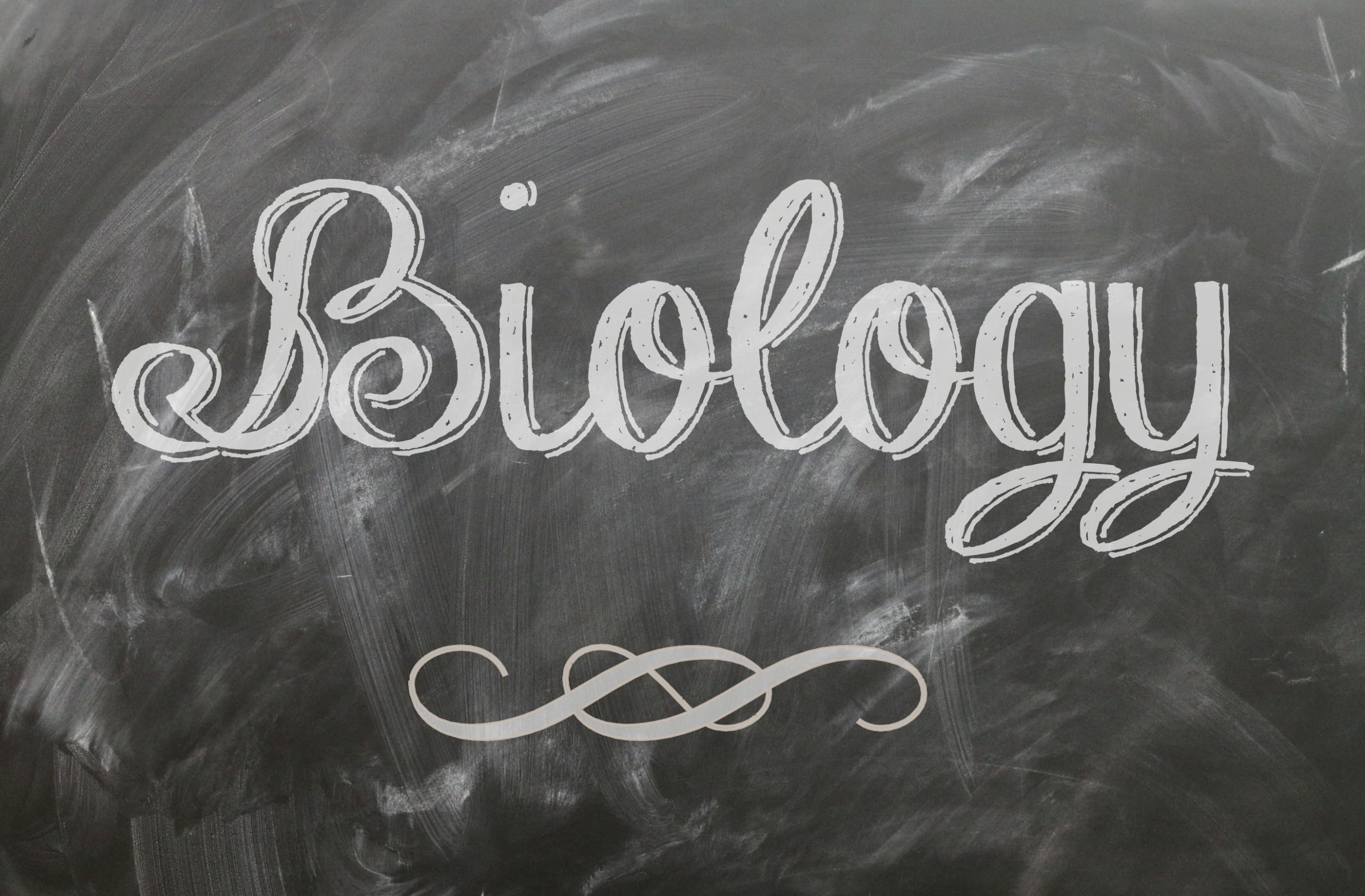 Calligraphy, information, Biology, no people, positive emotion, chalk - art equipment, Artistic, message, creativity, close-up, academic, School, subject, HD Wallpaper