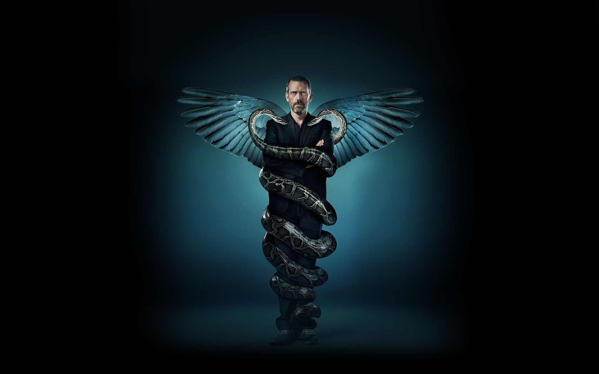 indoors, black background, spirituality, front view, animal body part, young adult, snake, studio shot, animal wing, portrait, one person, House, M.D., HD Wallpaper
