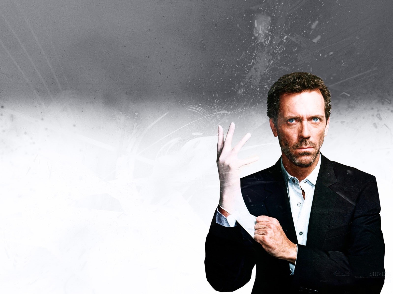 Hugh Laurie, actor, M.D., 720P, House, gloves, HD Wallpaper