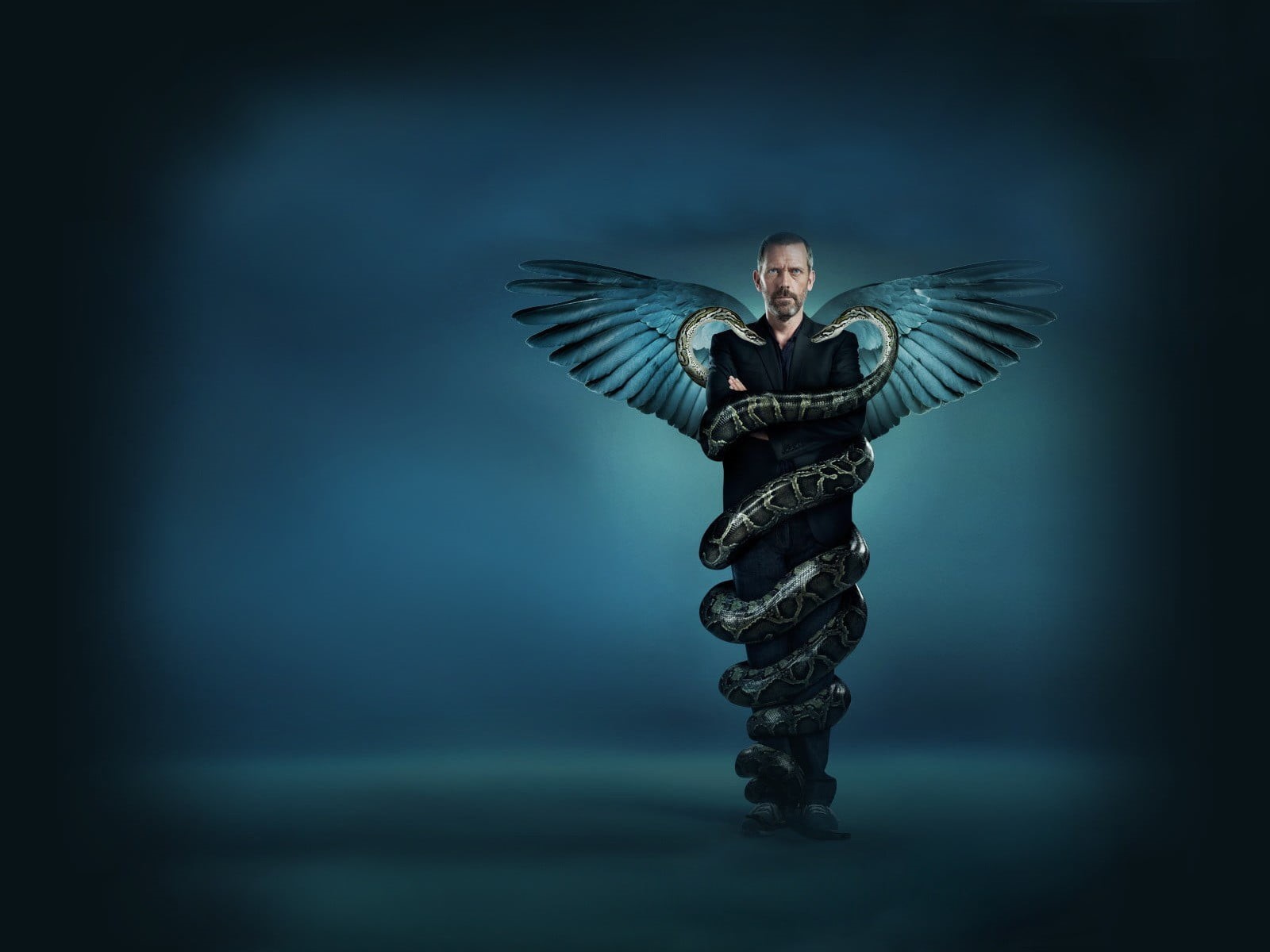 fashion, front view, angel, full length, House M.D., art, one animal, feather, animals in the wild, wing, man, one person, animal Wing, bird, 720P, HD Wallpaper