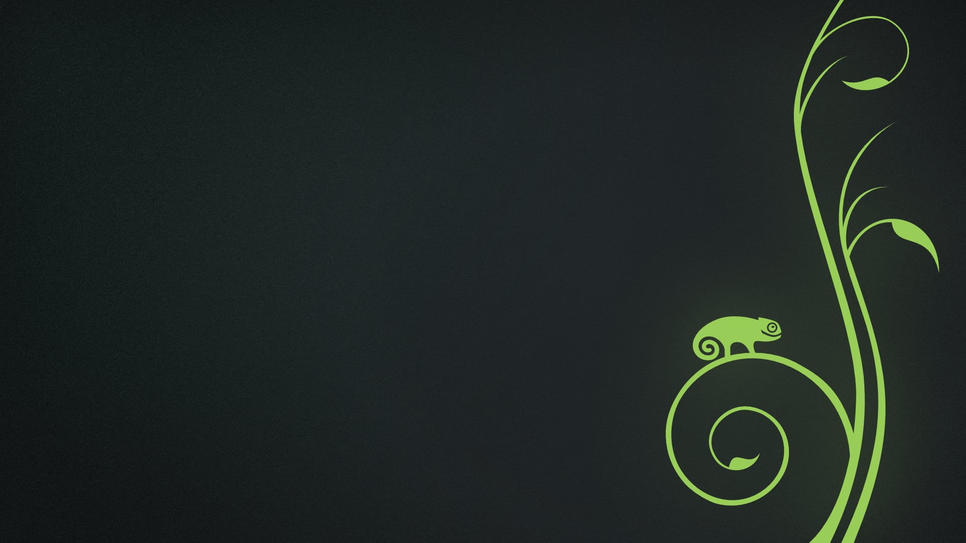 black background, 1080P, copy space, openSUSE, Linux, chameleon, technology, green color, growth, nature, no people, indoors, communication, blackboard, HD Wallpaper
