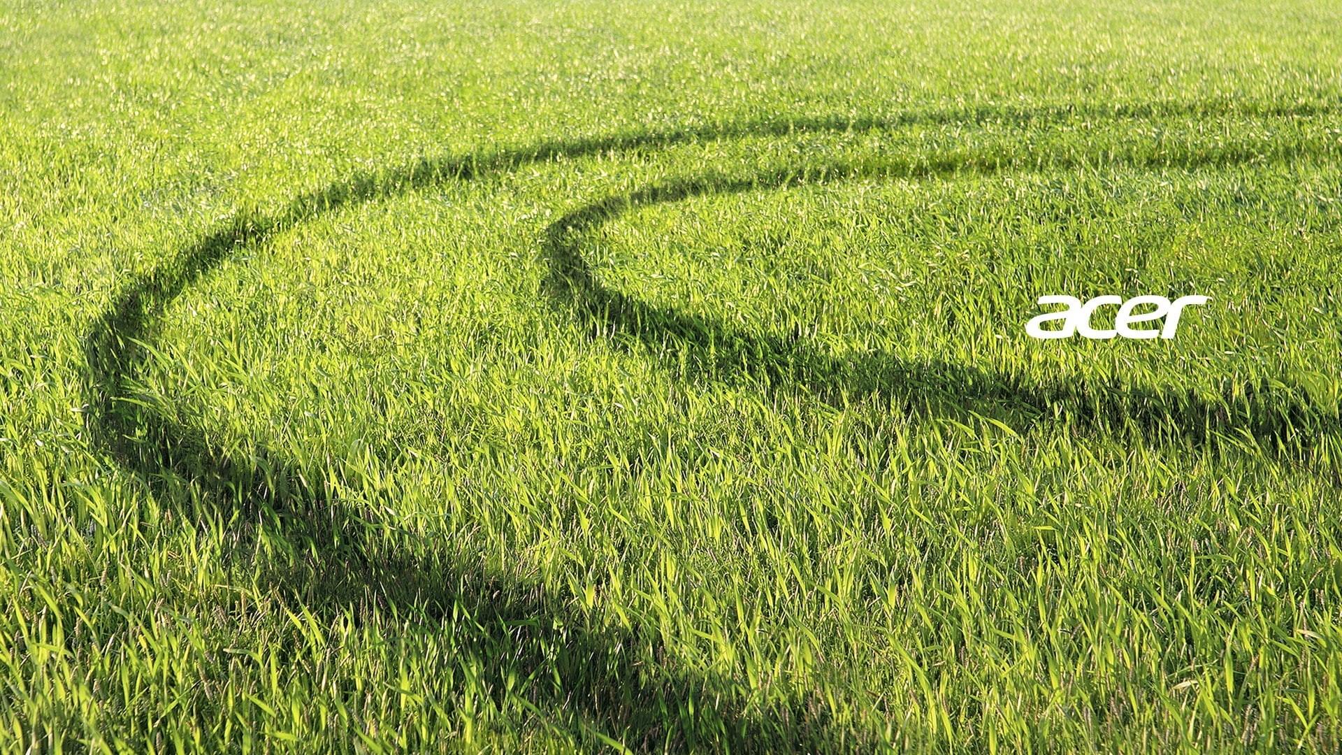 land, grass, outdoors, number, high angle view, green color, day, 1080P, crop, no people, landscape, sport, environment, plants, rural scene, plant, field, HD Wallpaper