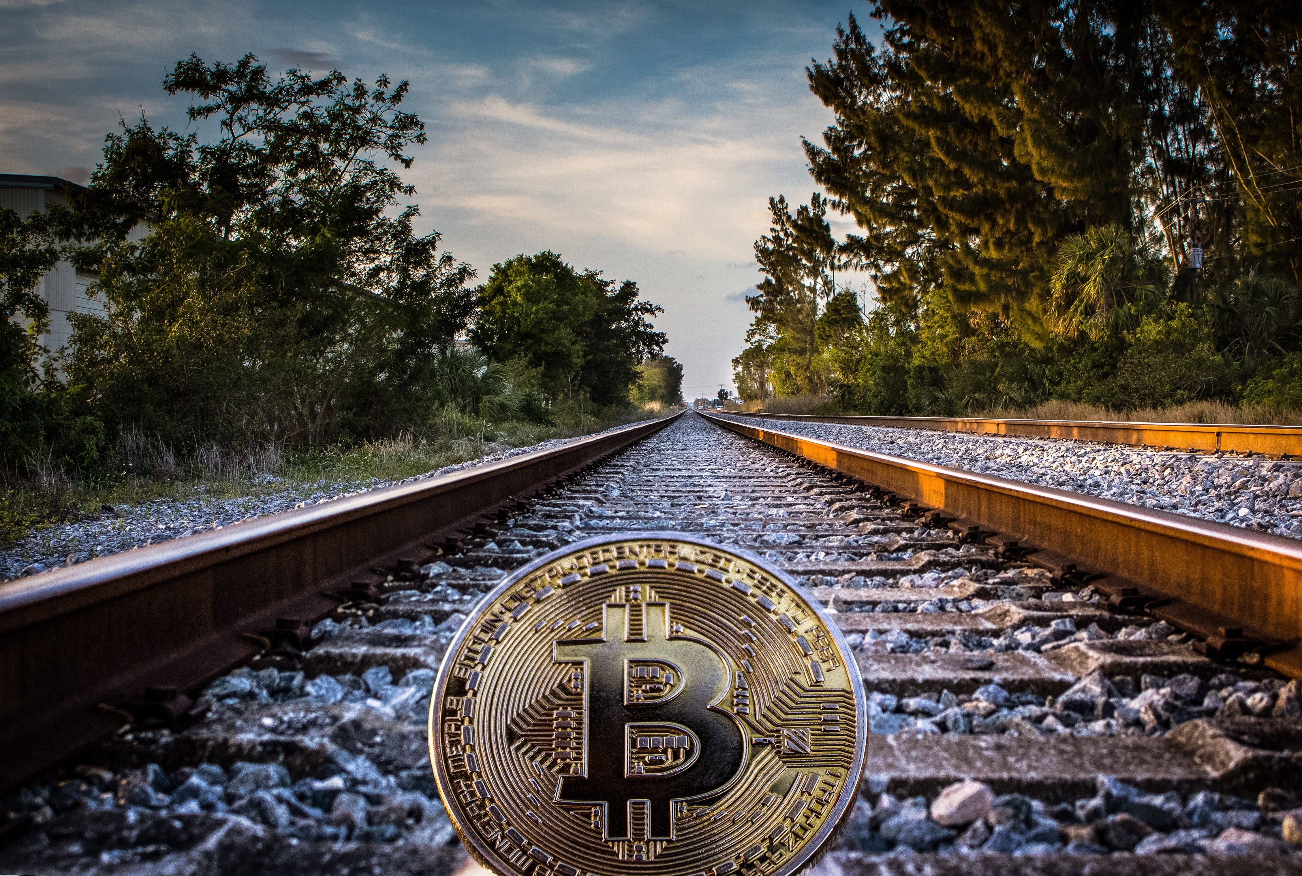 plant, business, financial, concept, nature, railroad track, direction, cryptography, track, tree, coin, rail transportation, cash, finance, investment, HD Wallpaper