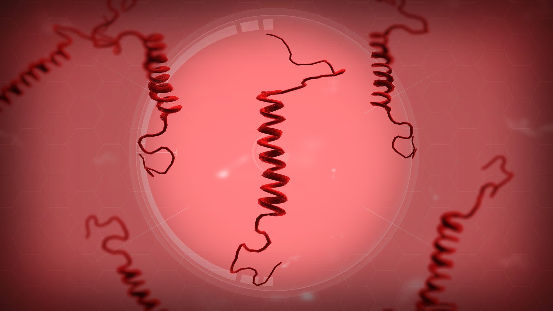 bug, plague, virus, plague inc, evolved, horror, strategy, 1080P, simulation, HD Wallpaper